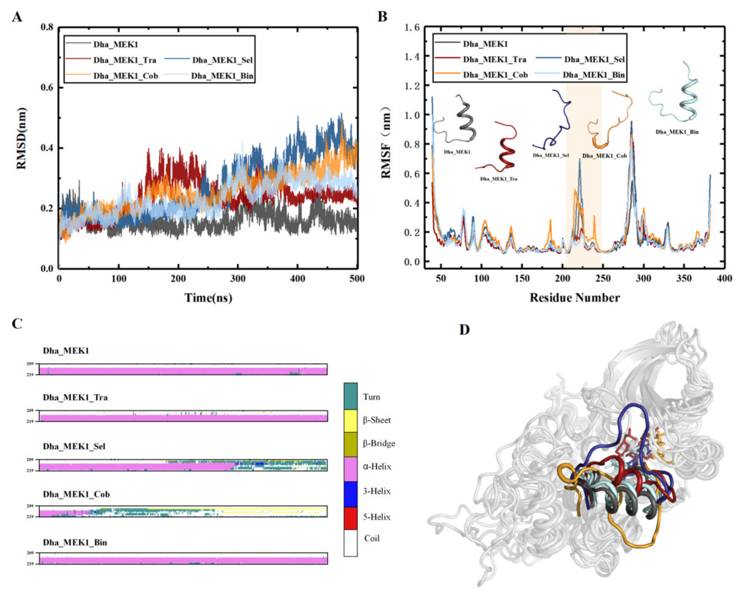 Ijms 25 07482 g012 Ijms 25 07482 g012