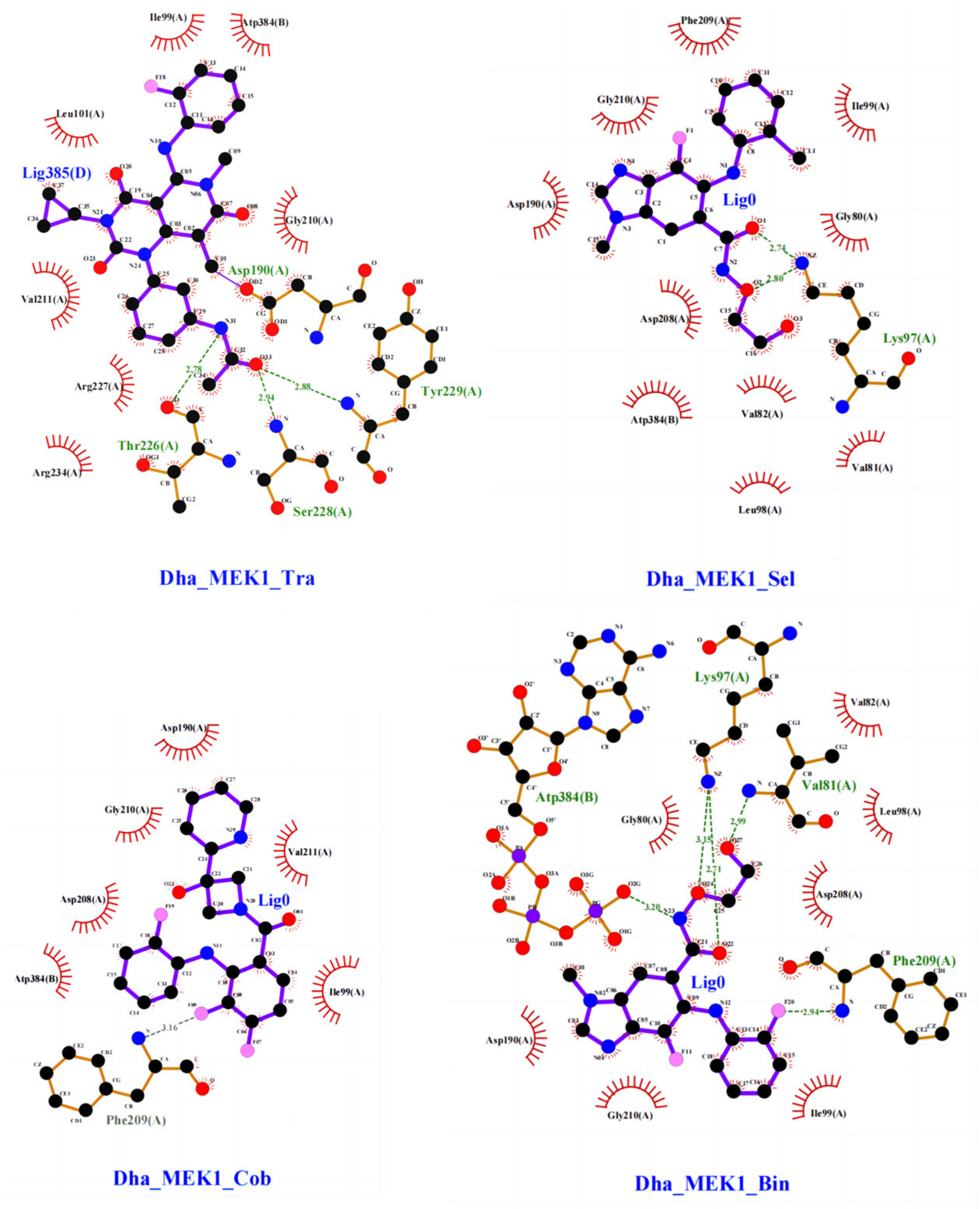 Ijms 25 07482 g013 Ijms 25 07482 g013