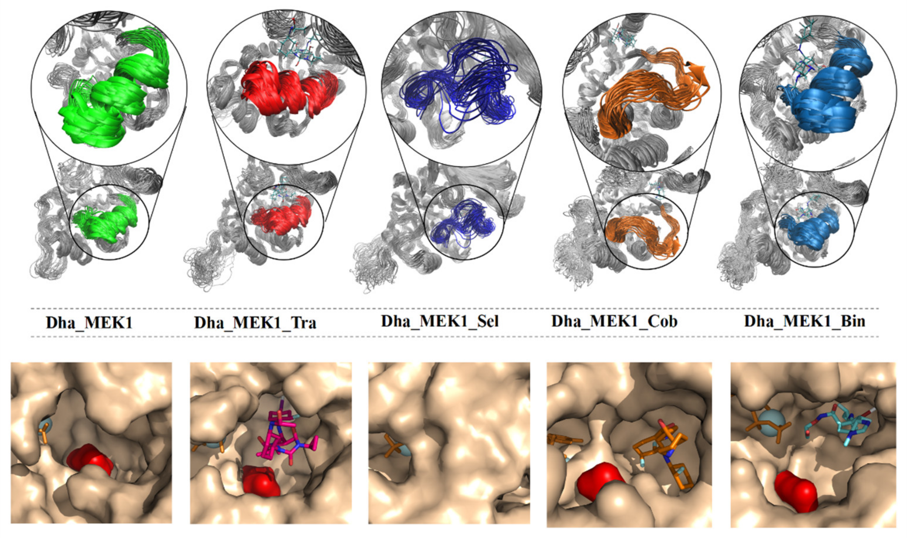 Ijms 25 07482 g014 Ijms 25 07482 g014