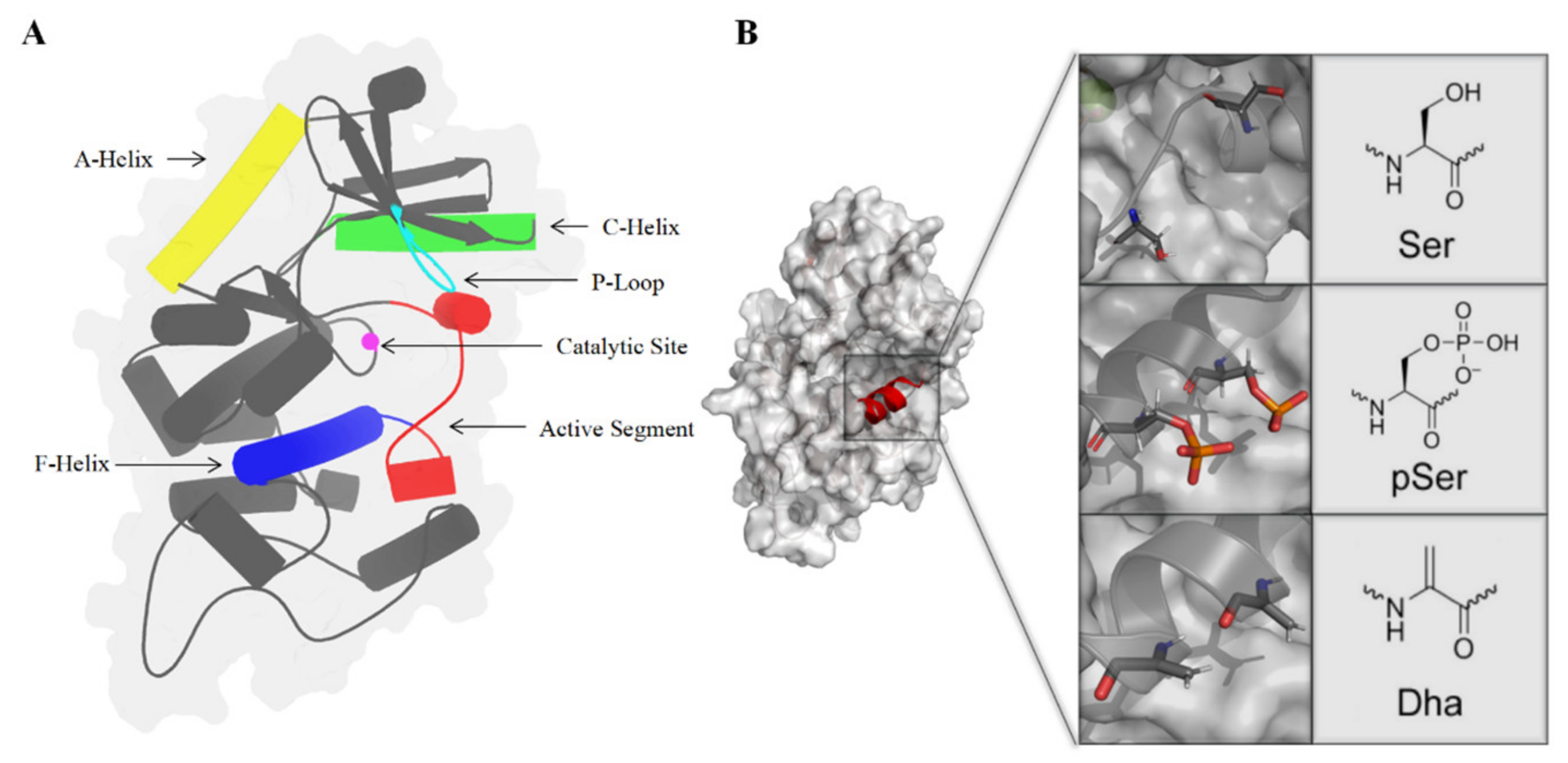 Ijms 25 07482 g015 Ijms 25 07482 g015
