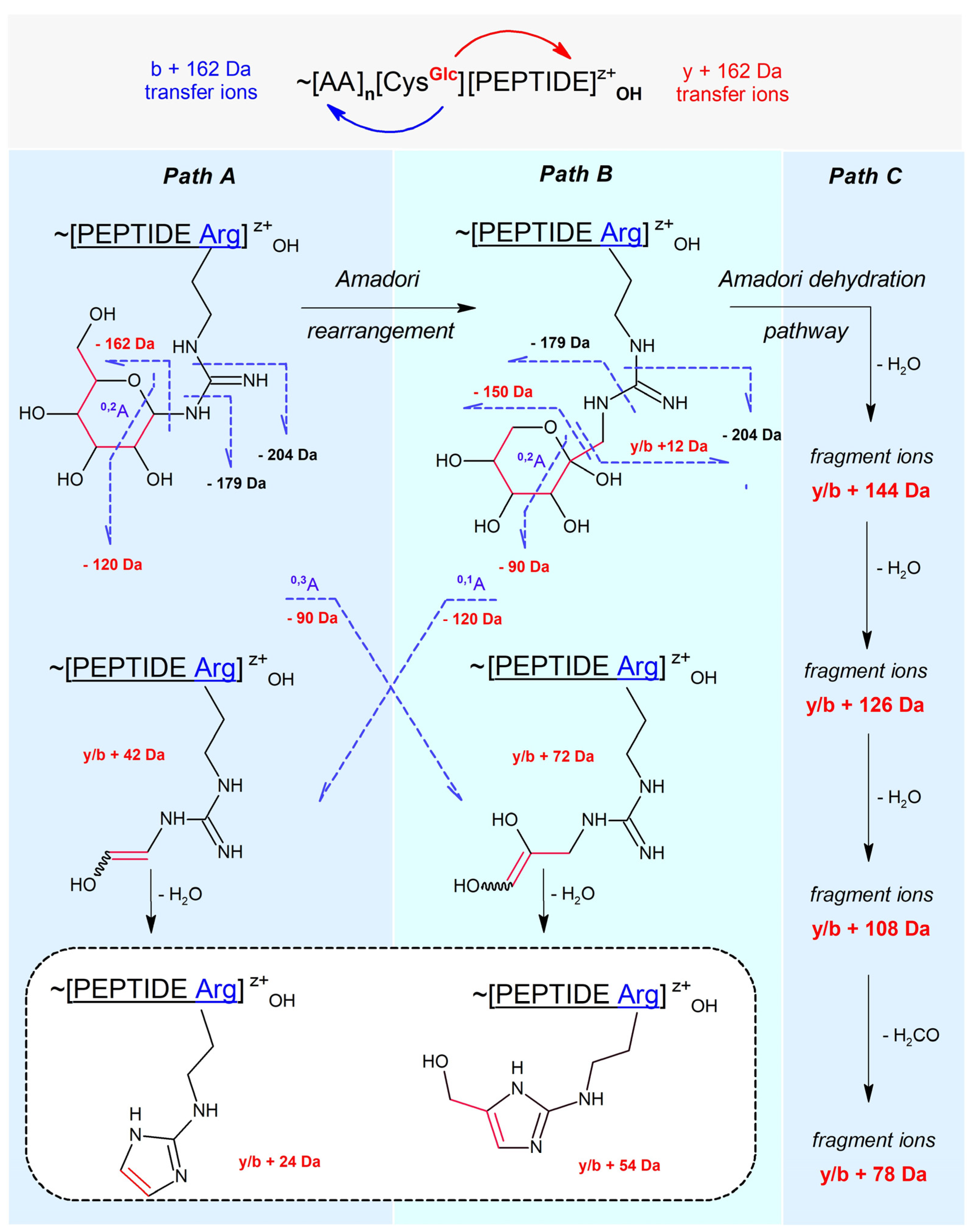 Ijms 25 07483 g001 Ijms 25 07483 g001