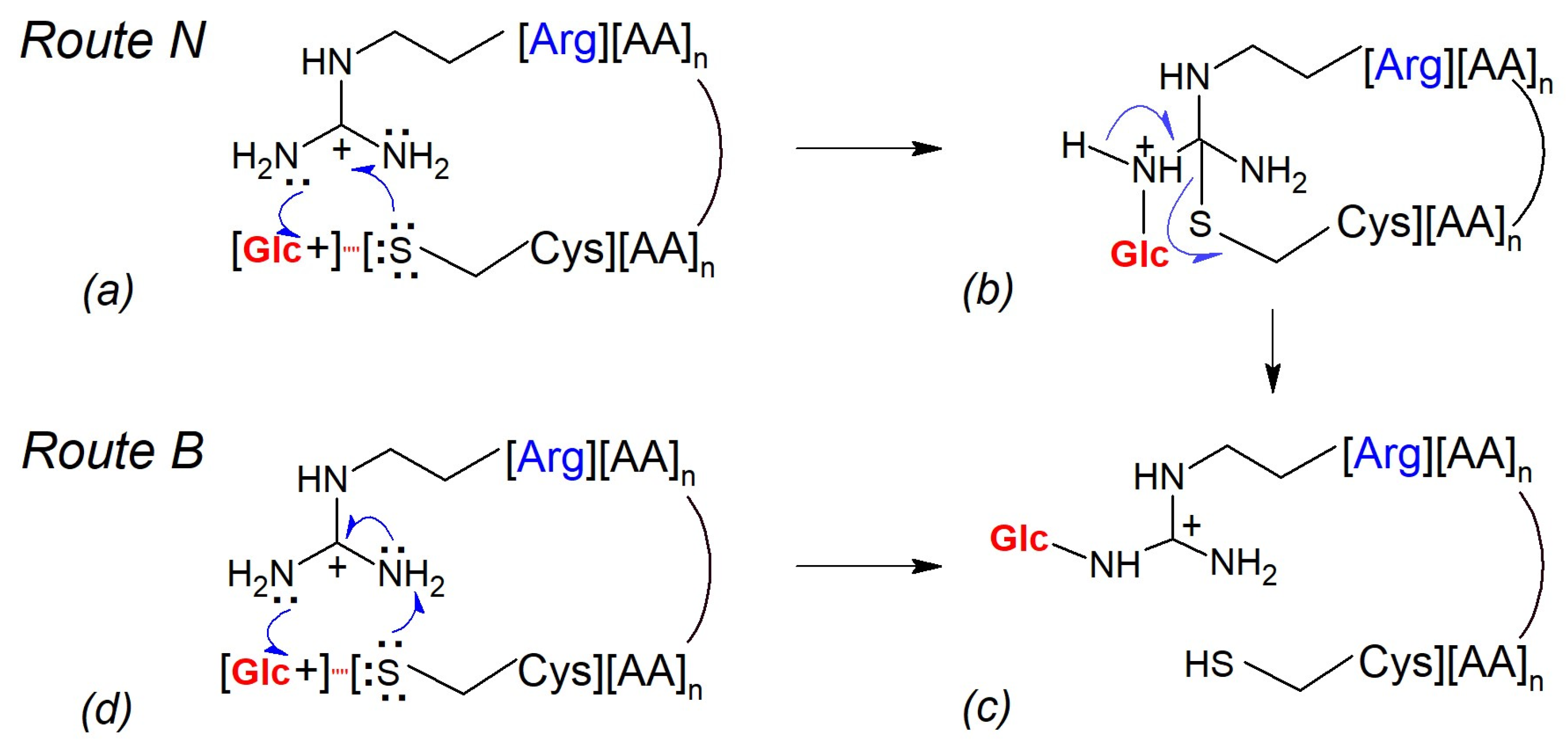 Ijms 25 07483 g006 Ijms 25 07483 g006