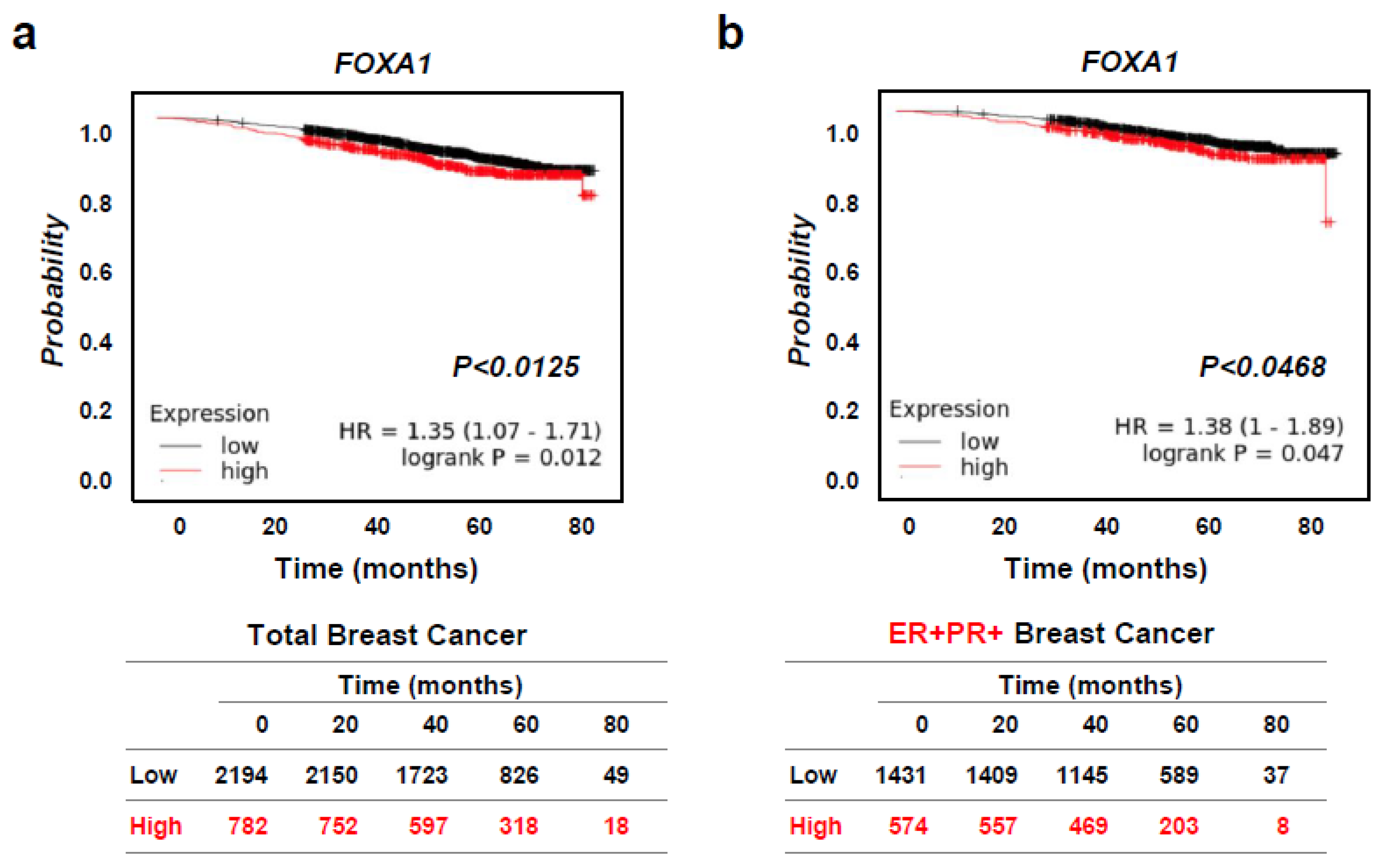 Ijms 25 07494 g004 Ijms 25 07494 g004