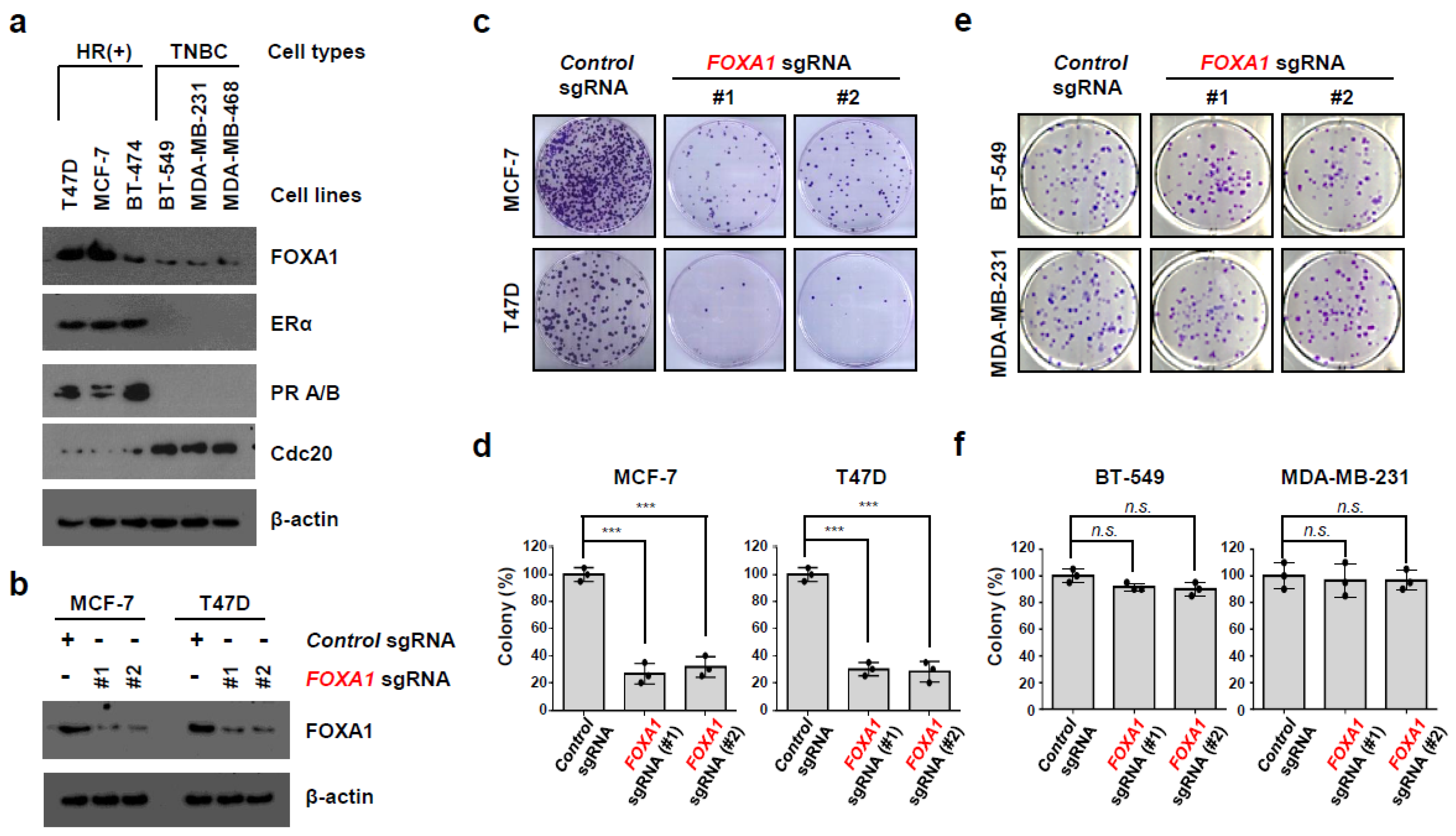 Ijms 25 07494 g005 Ijms 25 07494 g005