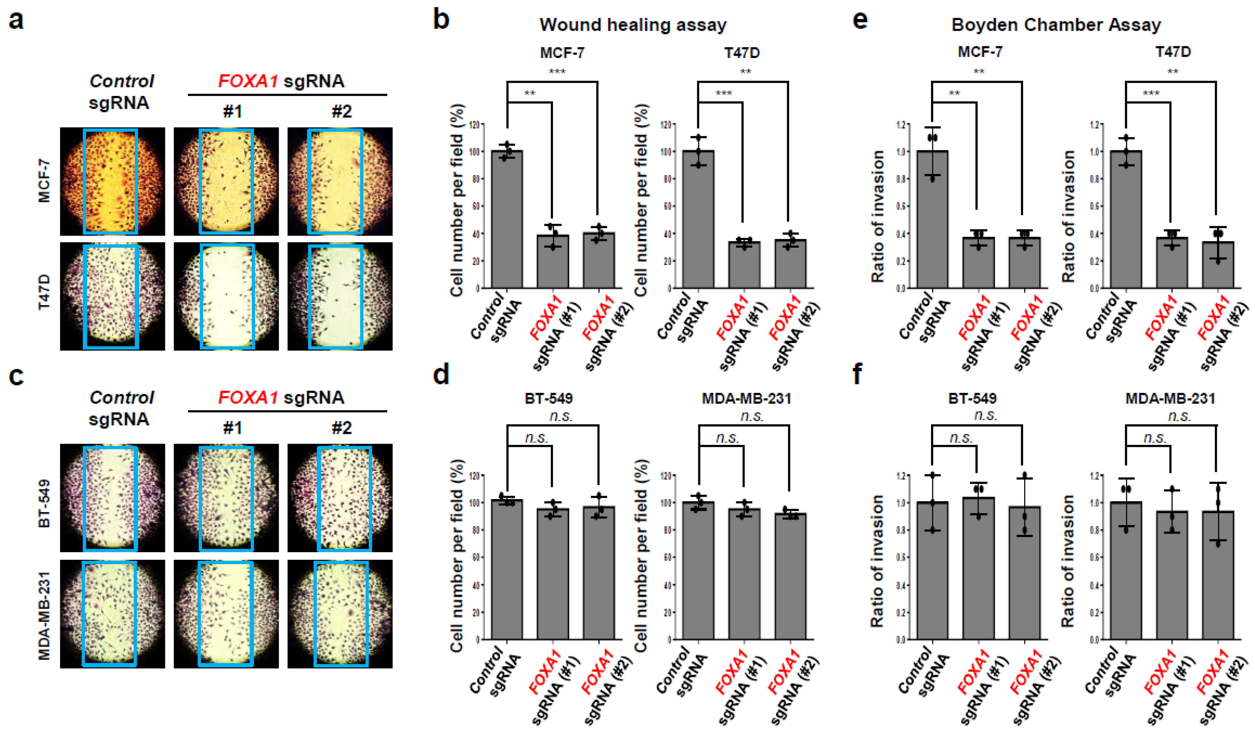 Ijms 25 07494 g006 Ijms 25 07494 g006