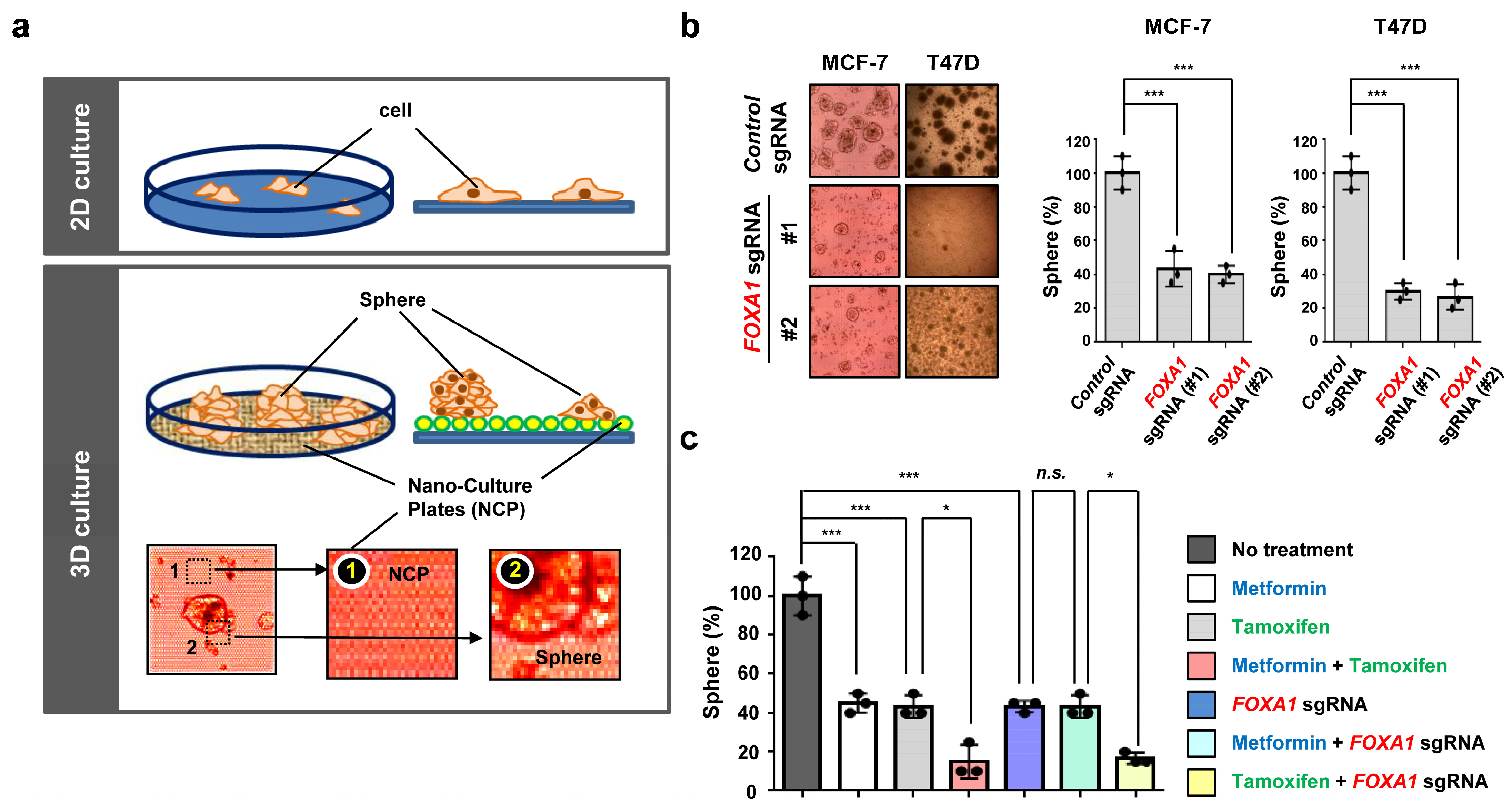 Ijms 25 07494 g008 Ijms 25 07494 g008