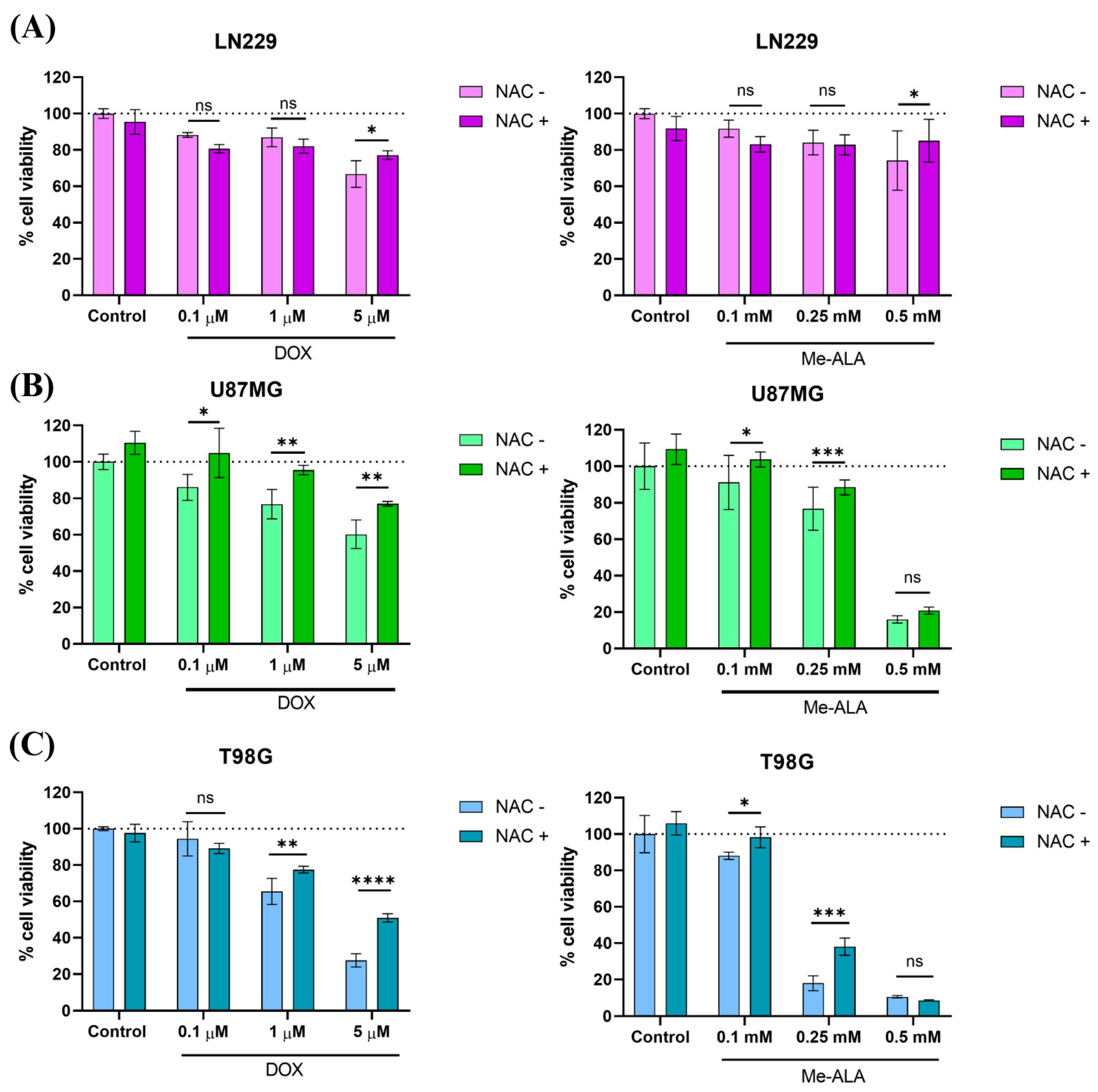 Ijms 25 07525 g004 Ijms 25 07525 g004