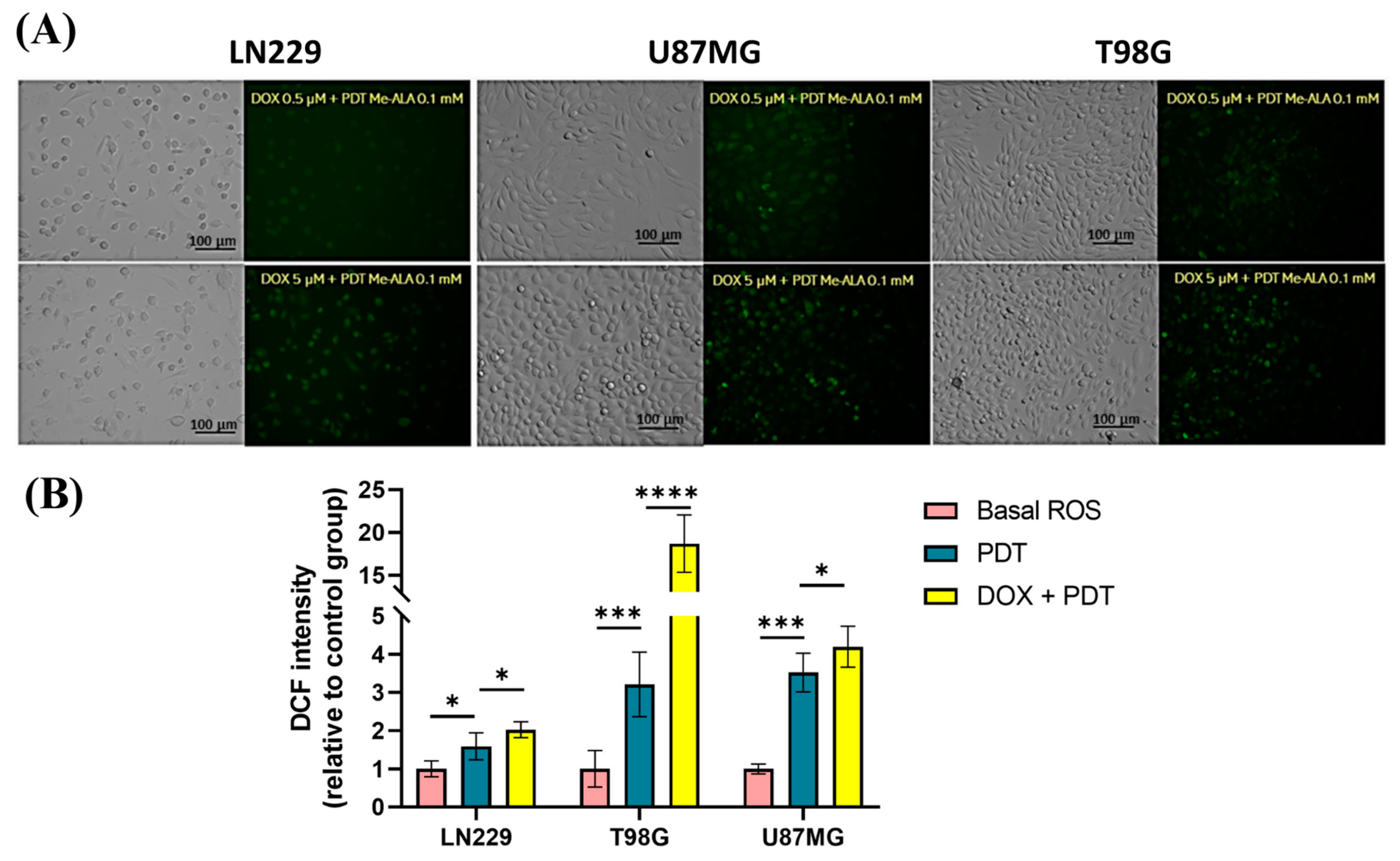 Ijms 25 07525 g006 Ijms 25 07525 g006