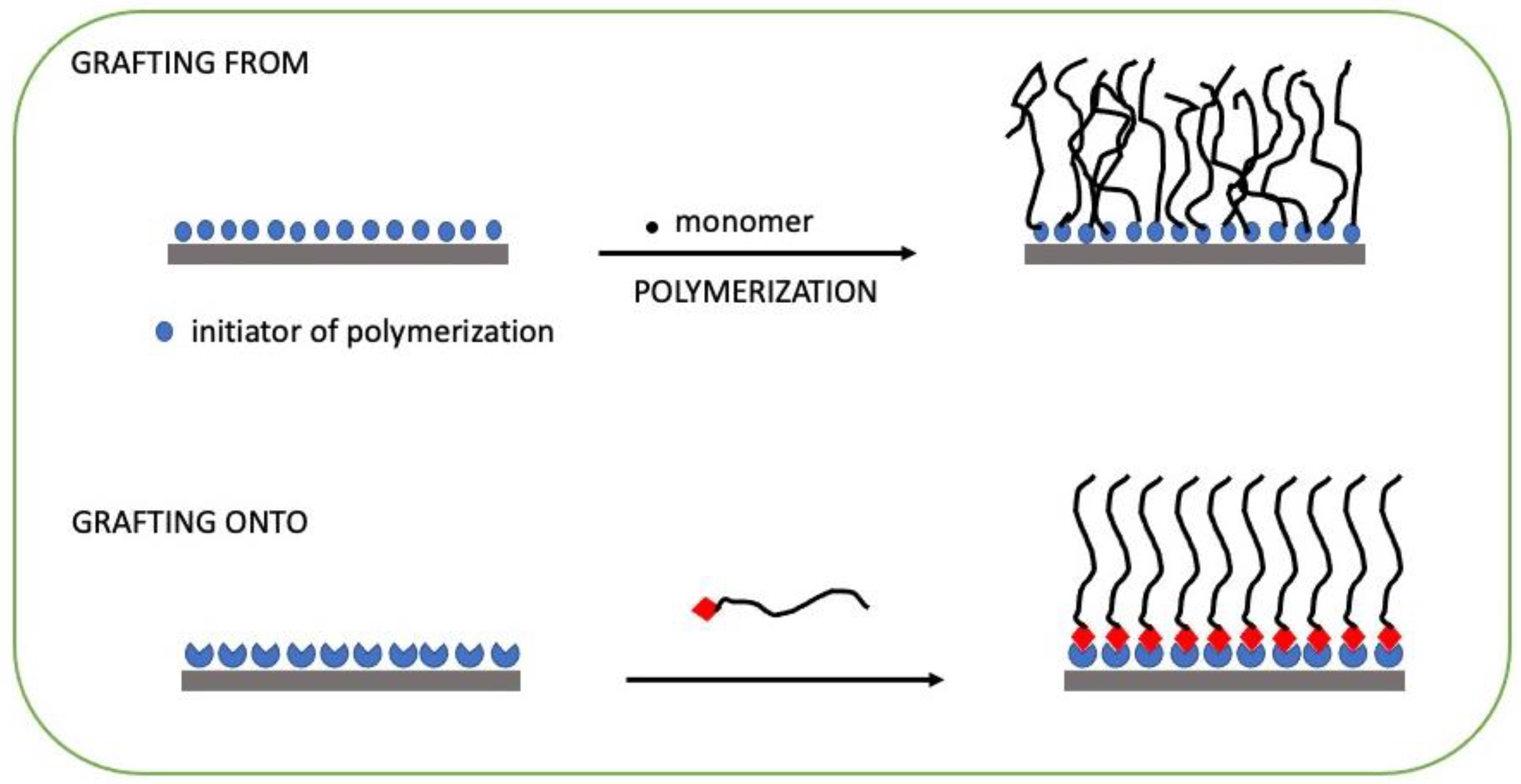 Ijms 25 07587 sch002