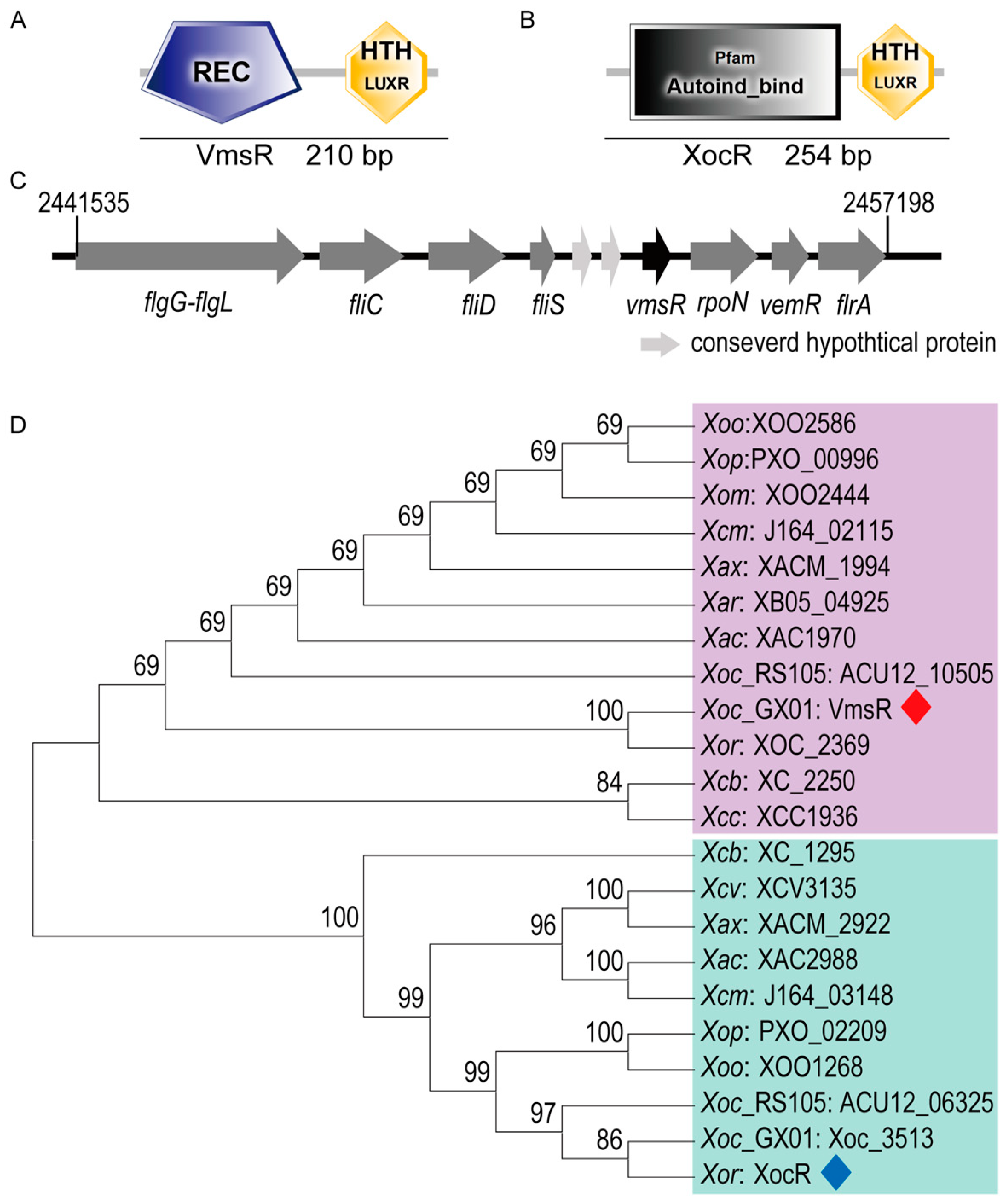 Ijms 25 07595 g001 Ijms 25 07595 g001