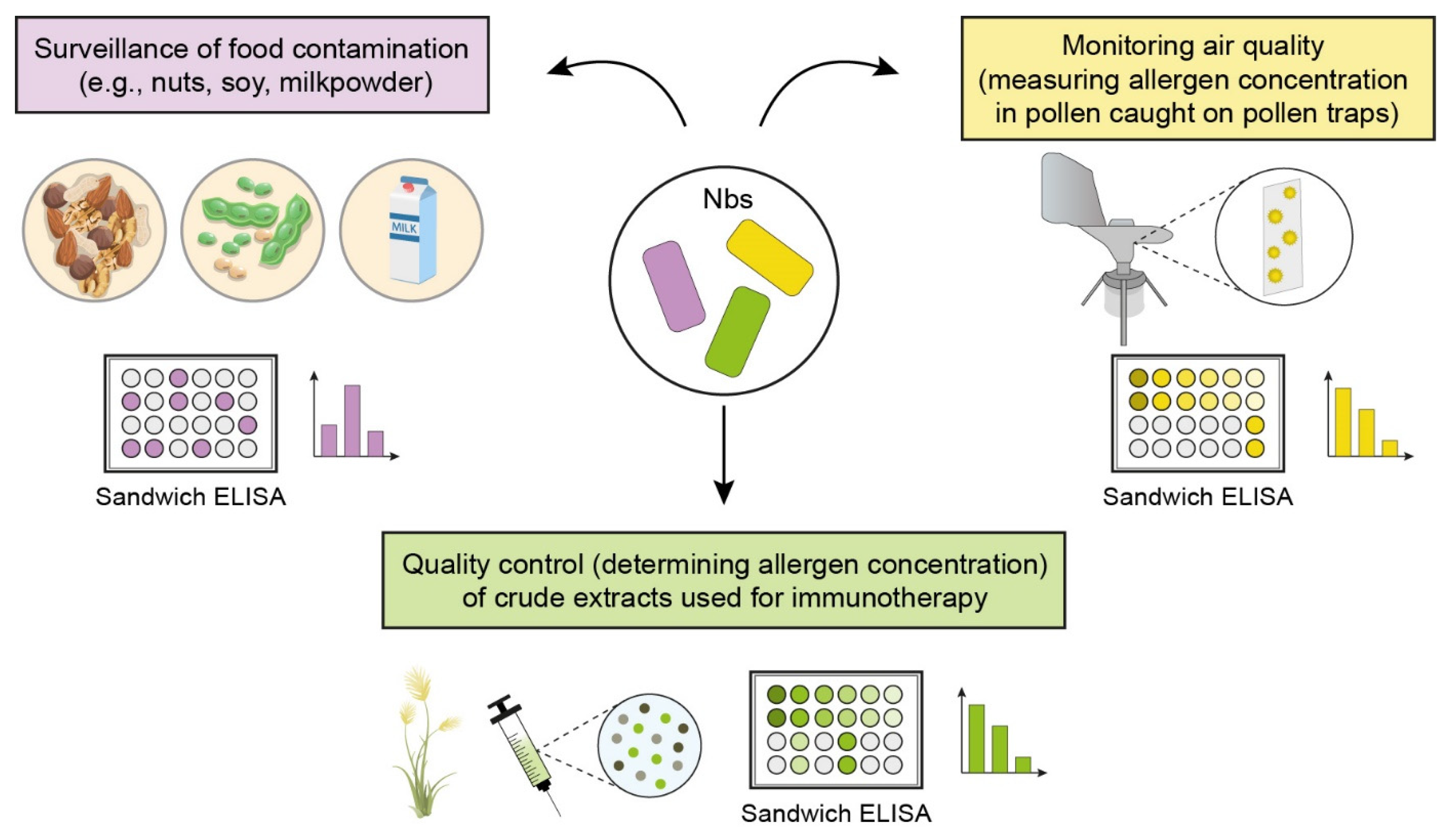 Ijms 25 07602 g001 Ijms 25 07602 g001