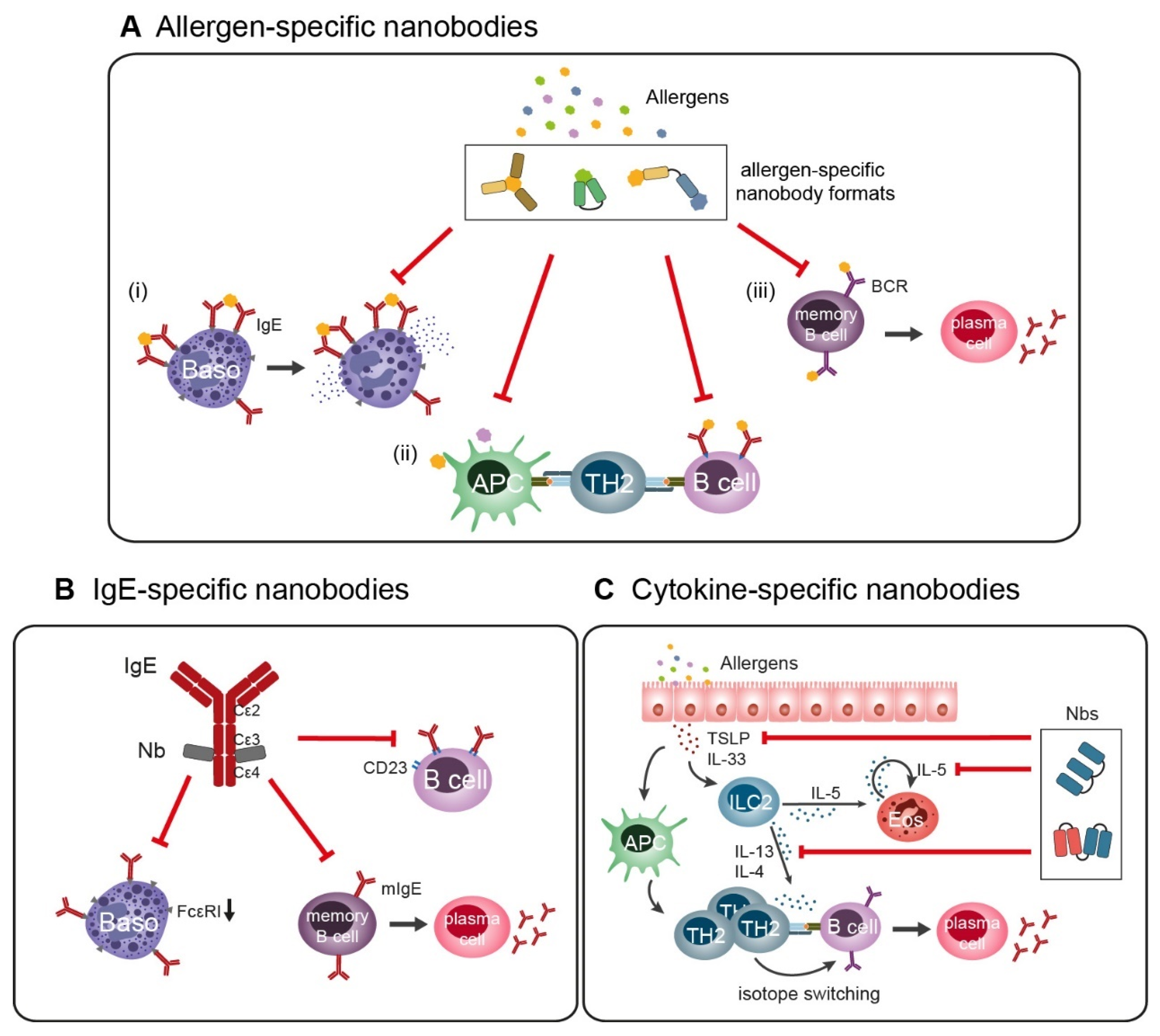 Ijms 25 07602 g002 Ijms 25 07602 g002