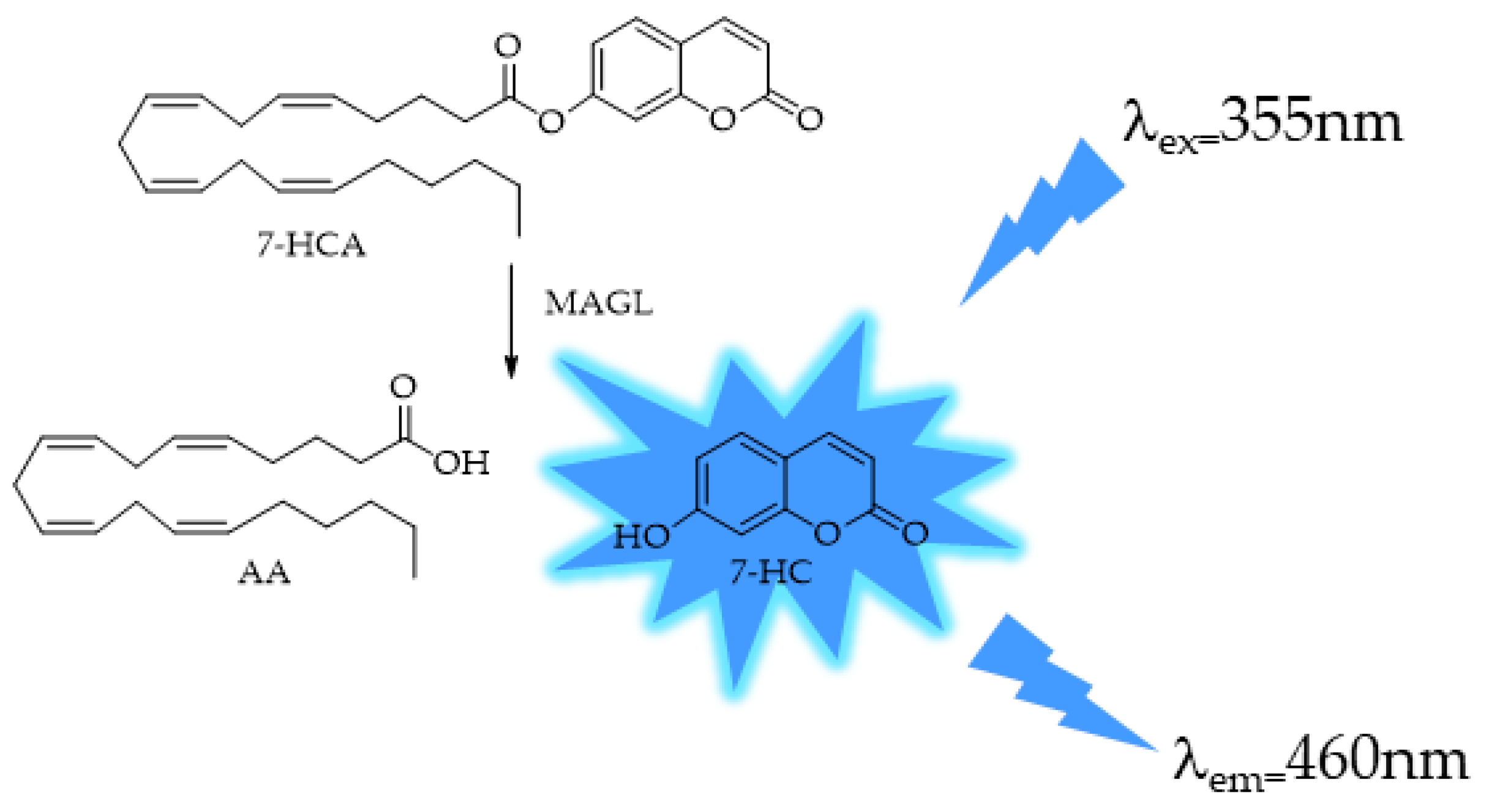 Ijms 25 07693 g005 Ijms 25 07693 g005