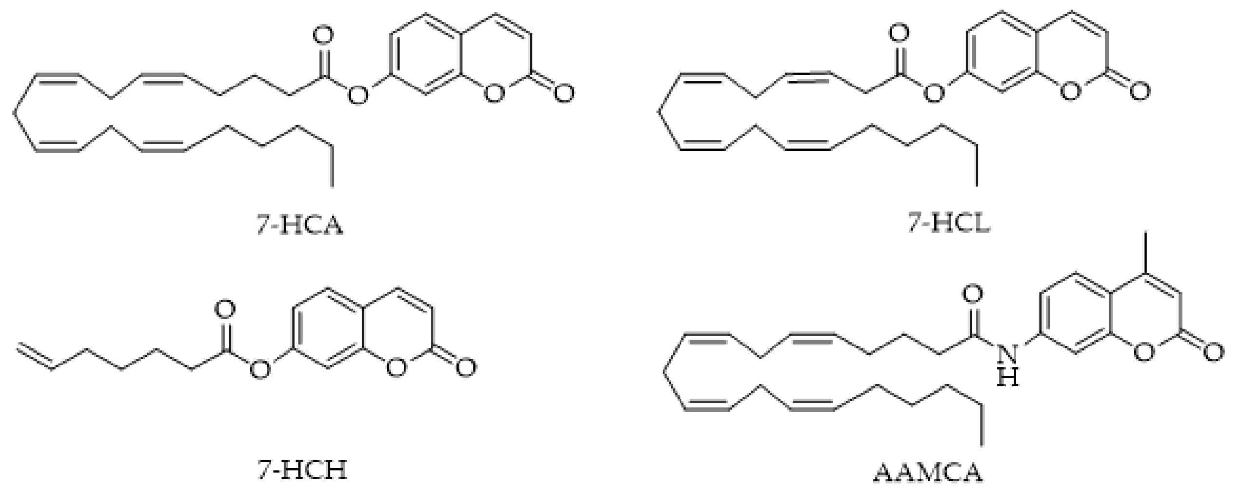 Ijms 25 07693 g006 Ijms 25 07693 g006