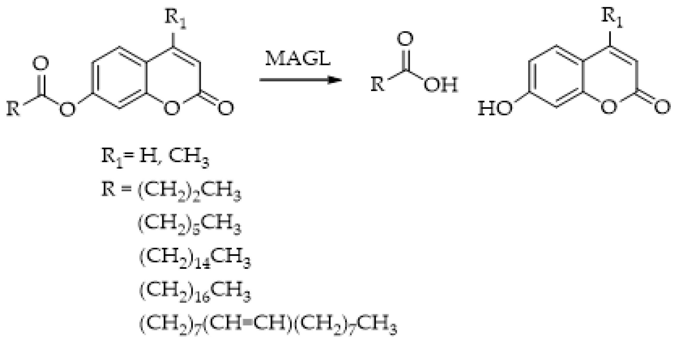 Ijms 25 07693 g007 Ijms 25 07693 g007