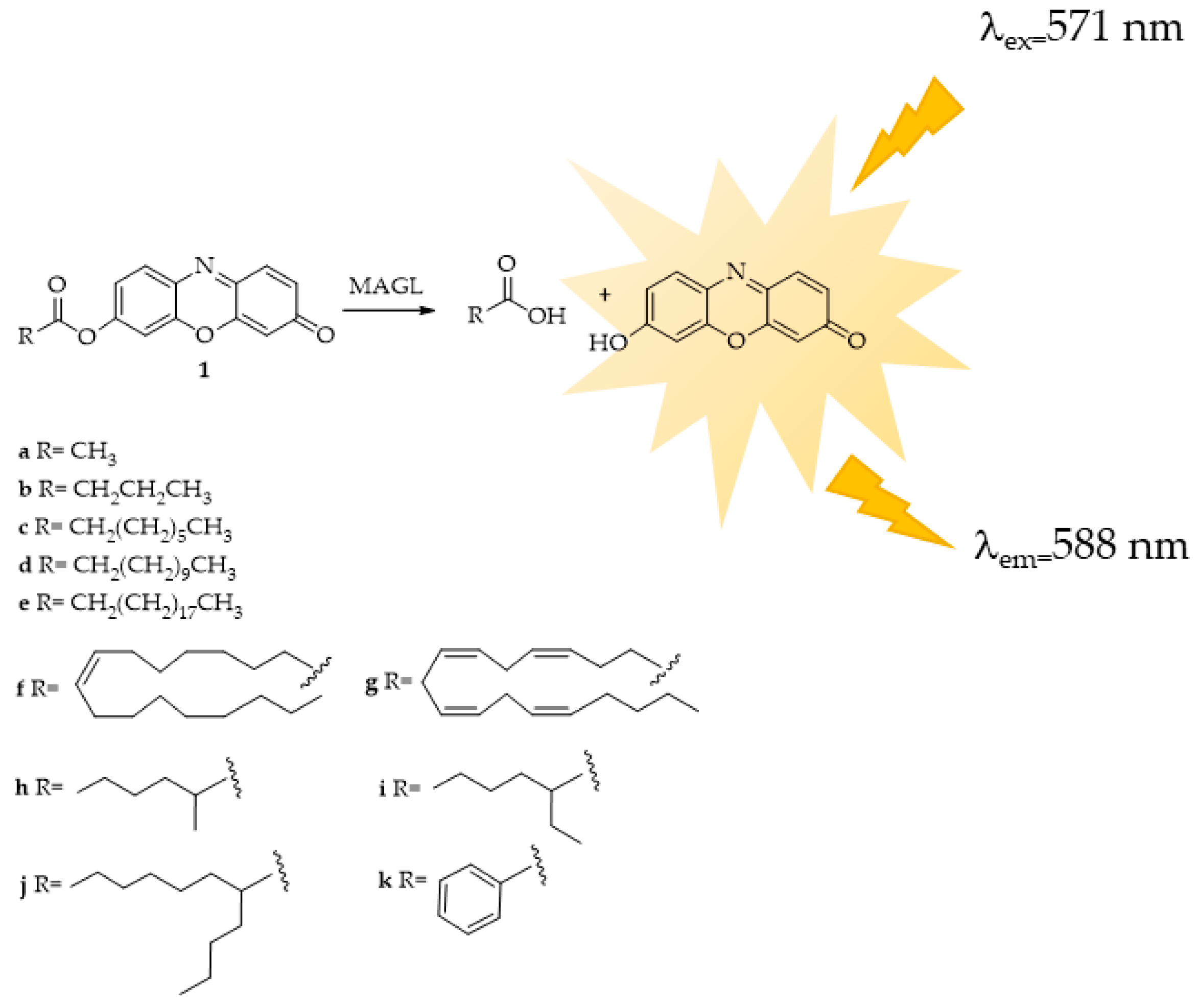 Ijms 25 07693 g008 Ijms 25 07693 g008