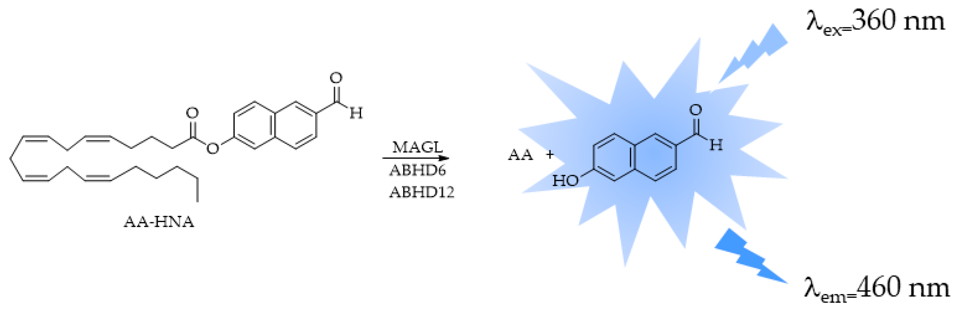 Ijms 25 07693 g011 Ijms 25 07693 g011