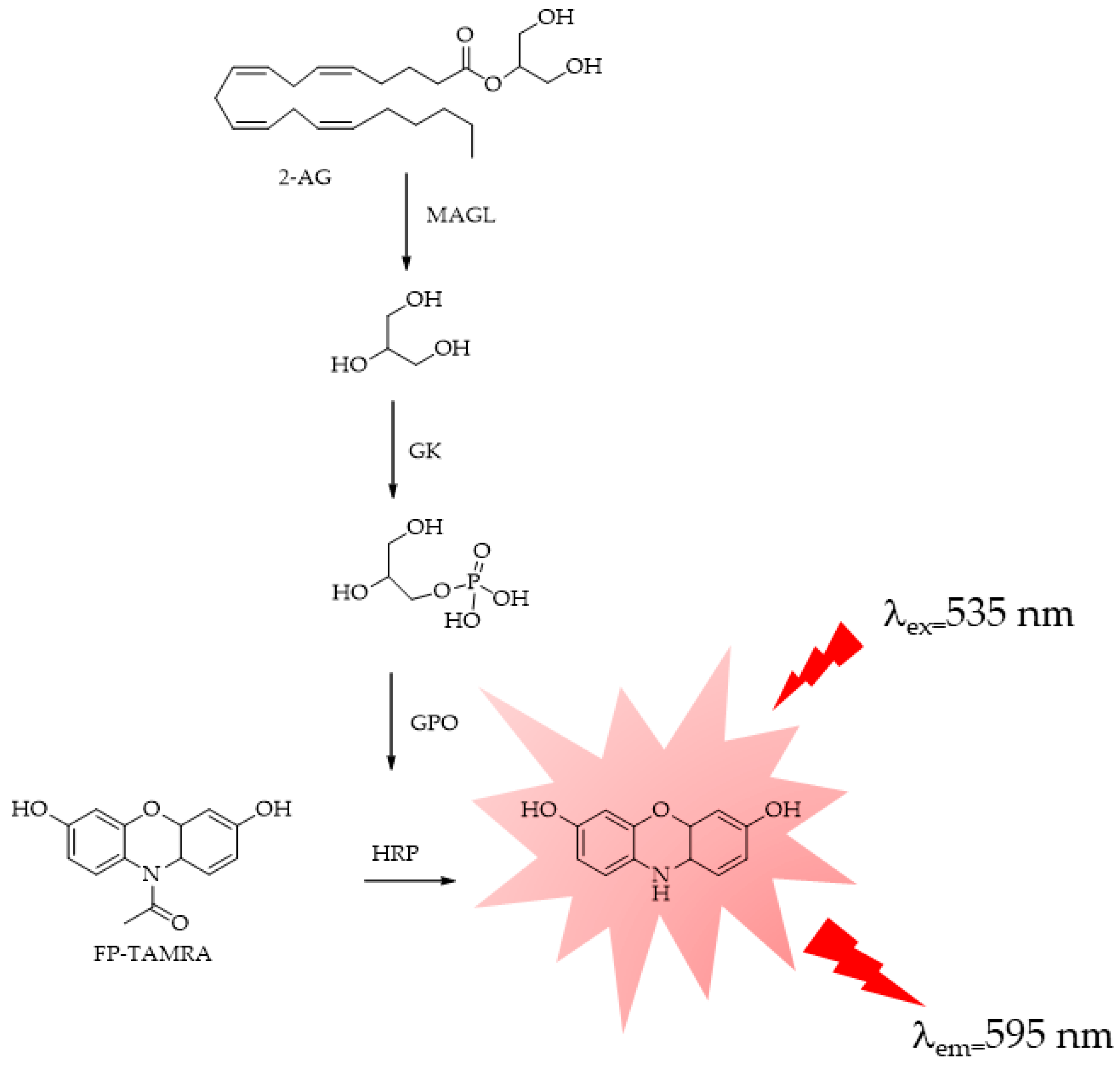 Ijms 25 07693 g012 Ijms 25 07693 g012