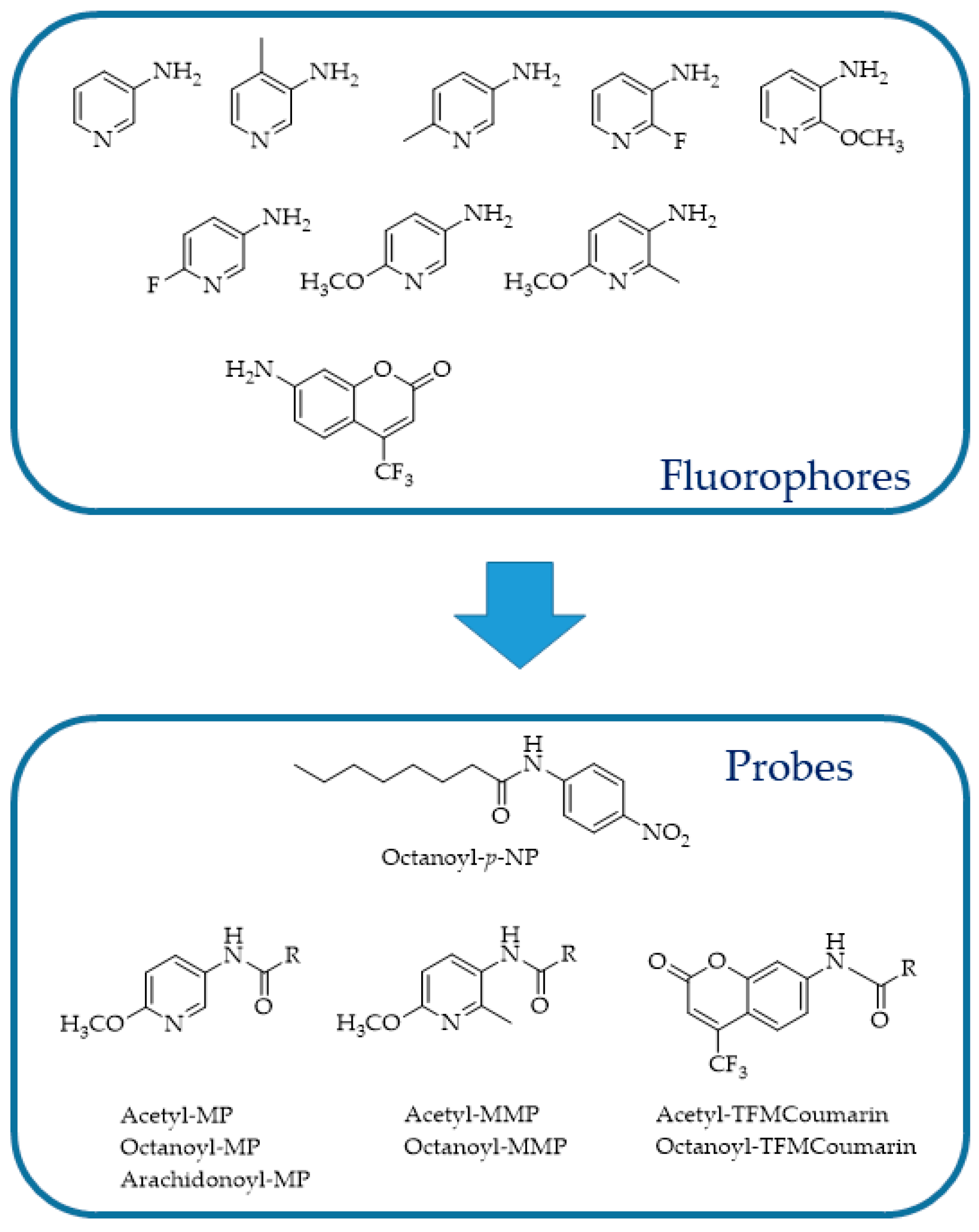 Ijms 25 07693 g015 Ijms 25 07693 g015