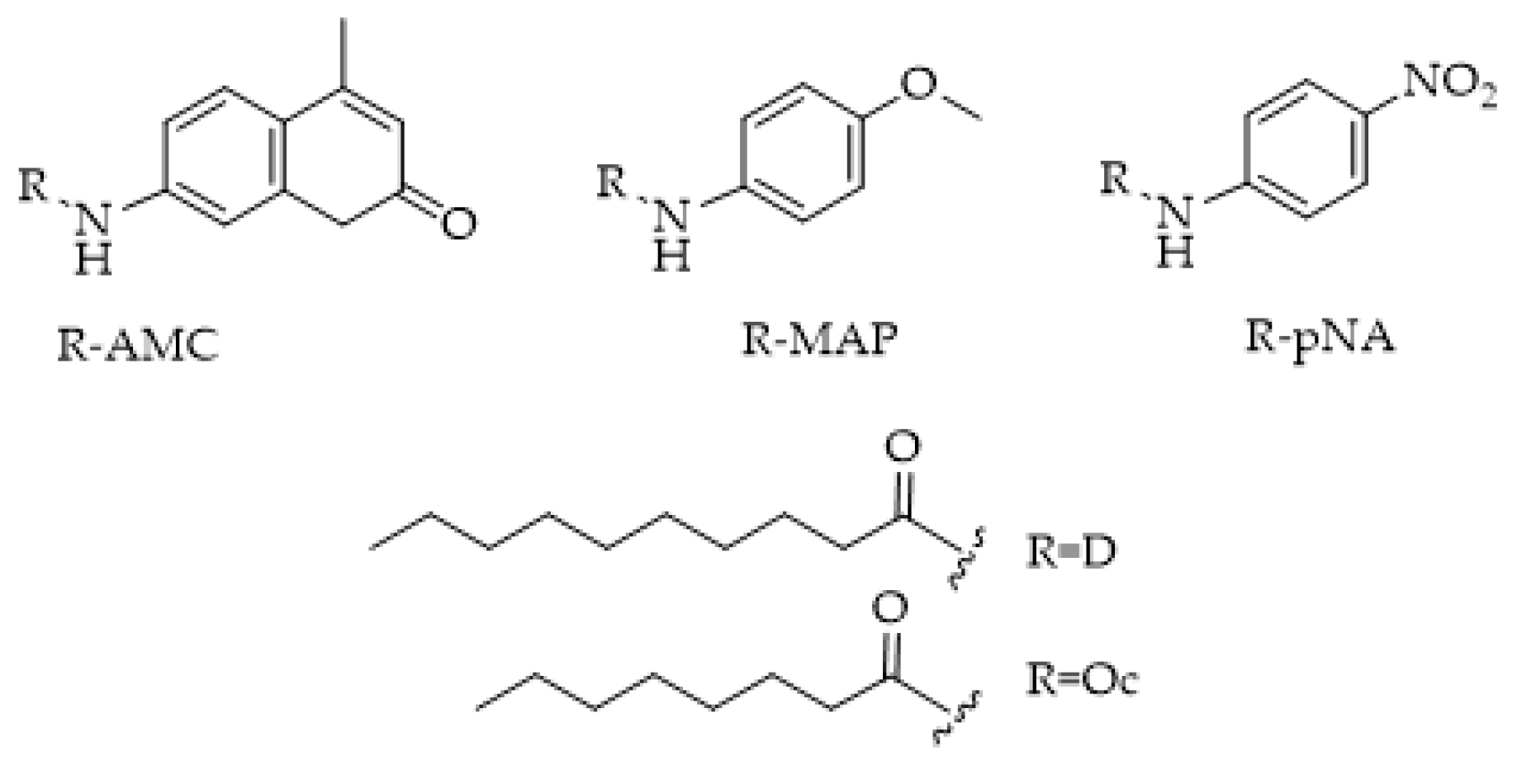 Ijms 25 07693 g016 Ijms 25 07693 g016