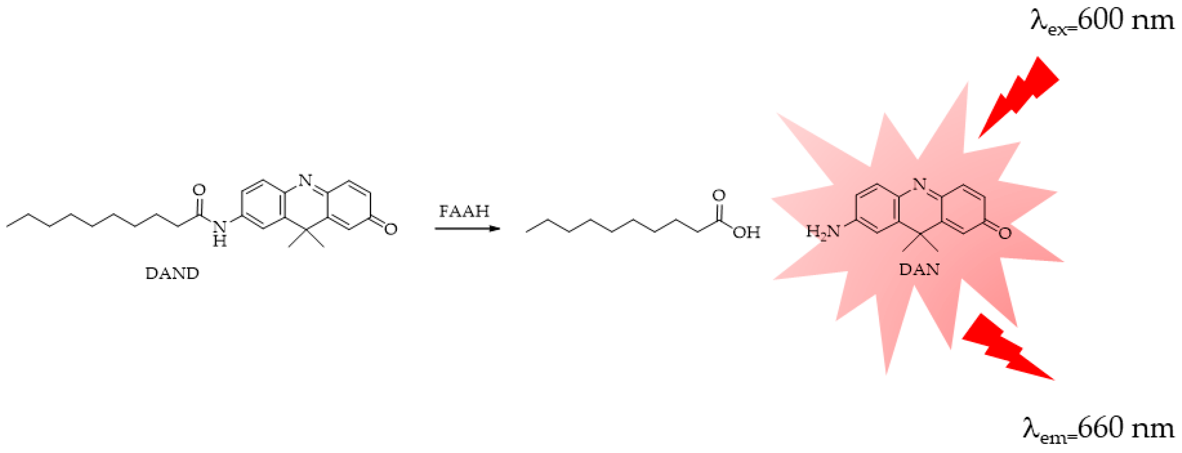 Ijms 25 07693 g019 Ijms 25 07693 g019