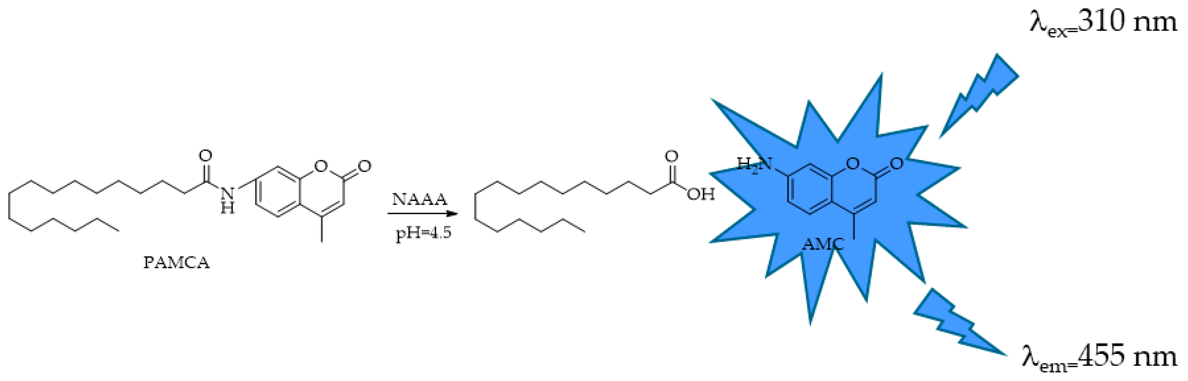 Ijms 25 07693 g021 Ijms 25 07693 g021