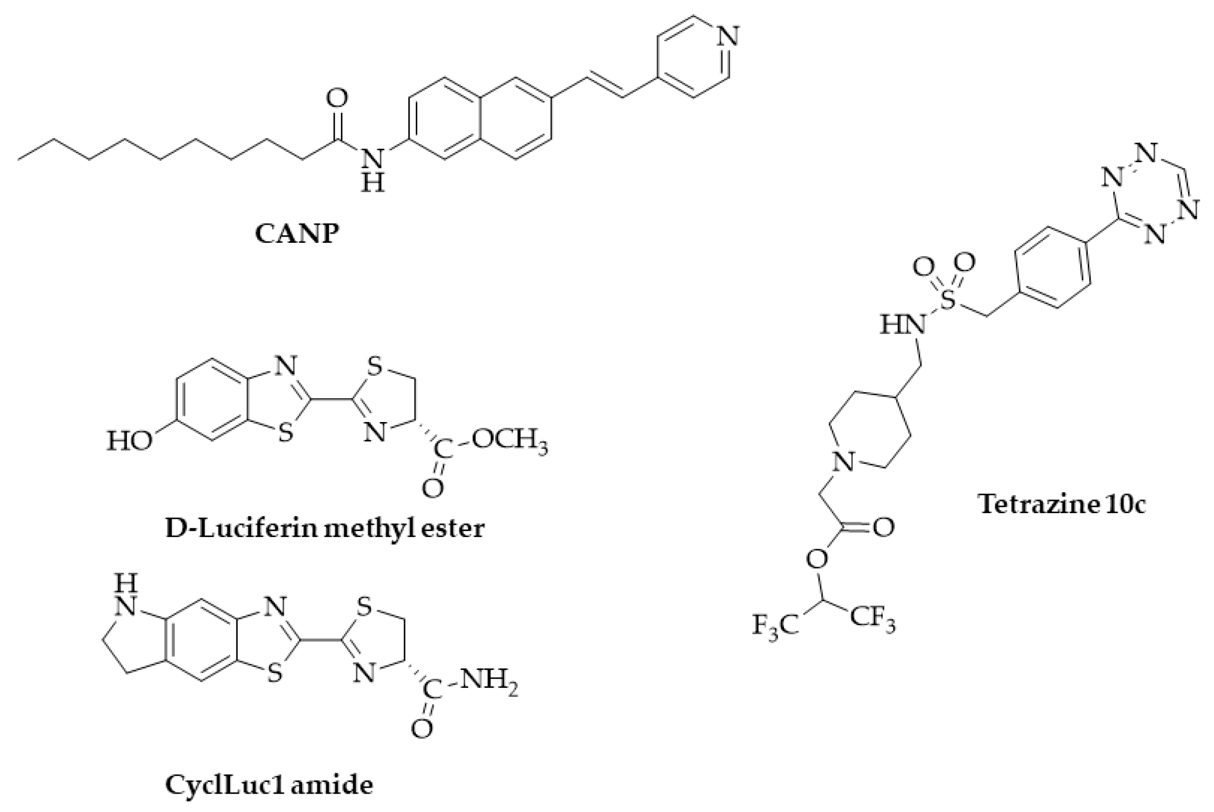 Ijms 25 07693 g022 Ijms 25 07693 g022