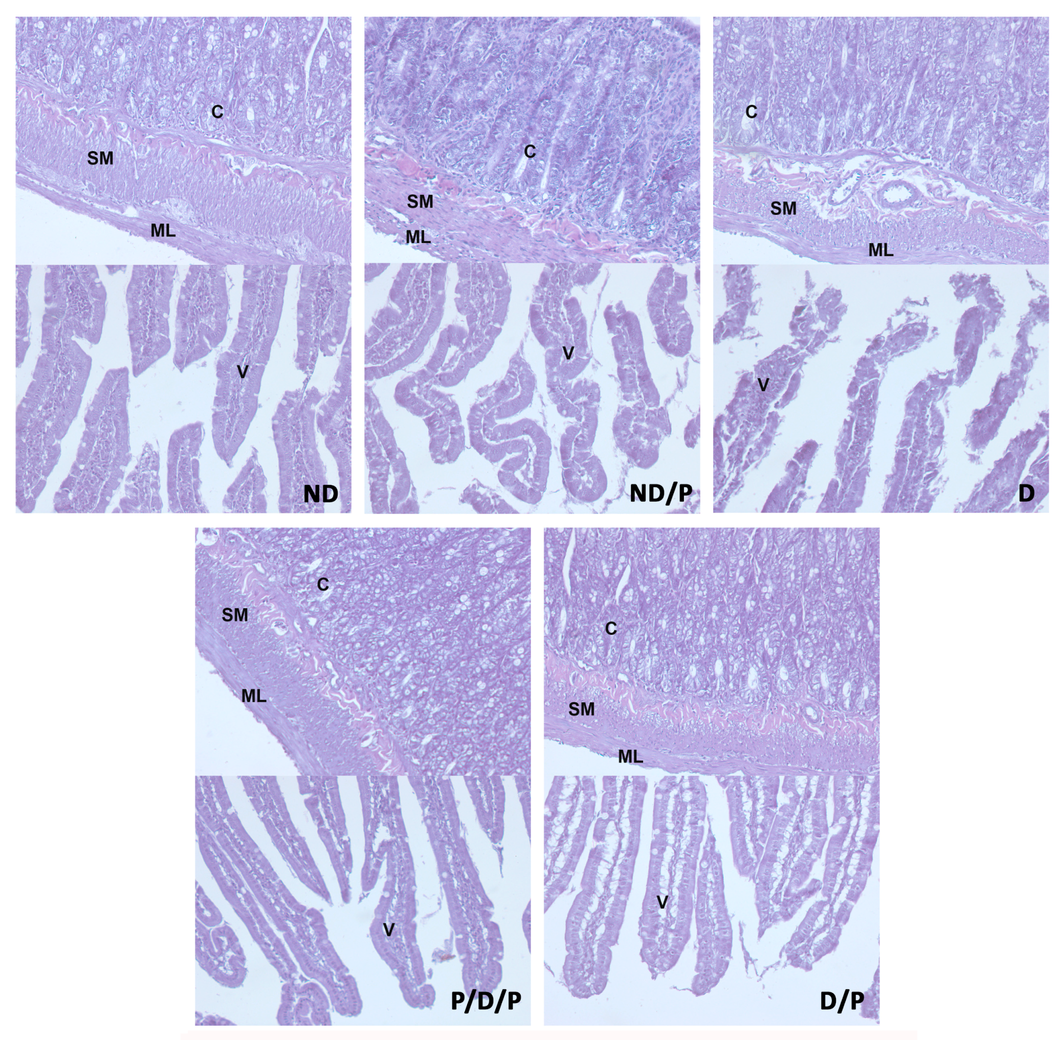 Ijms 25 07697 g004 Ijms 25 07697 g004