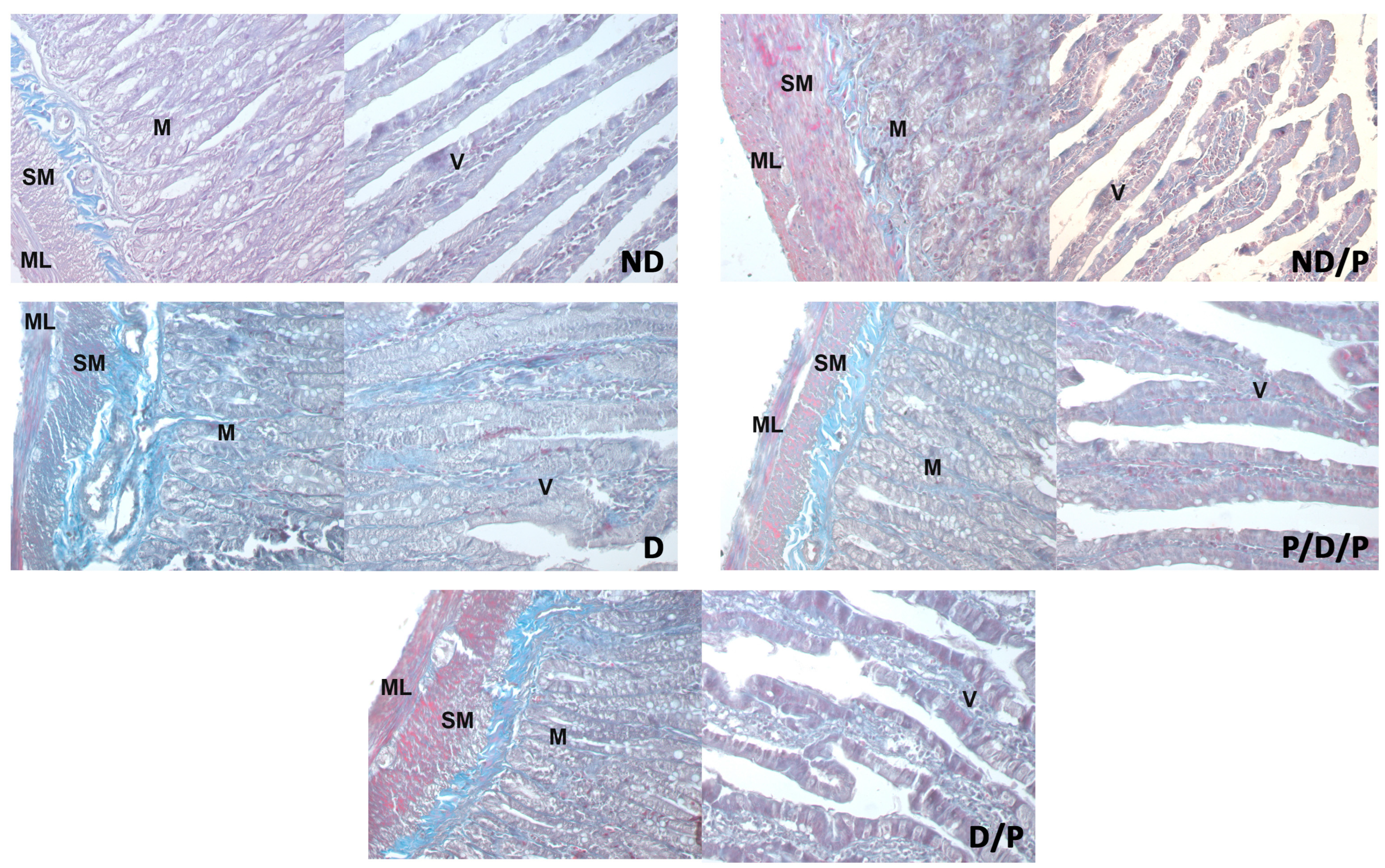 Ijms 25 07697 g005 Ijms 25 07697 g005