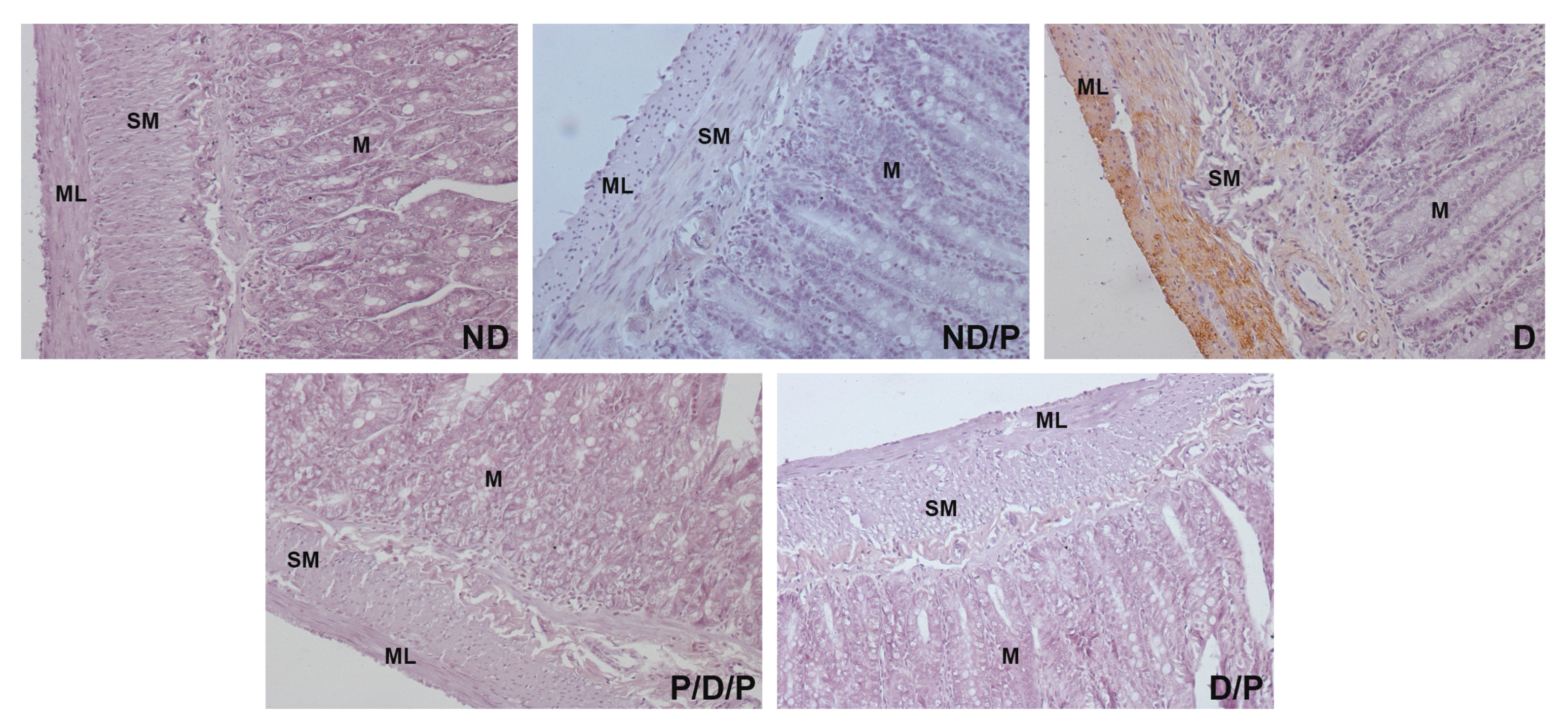 Ijms 25 07697 g006 Ijms 25 07697 g006