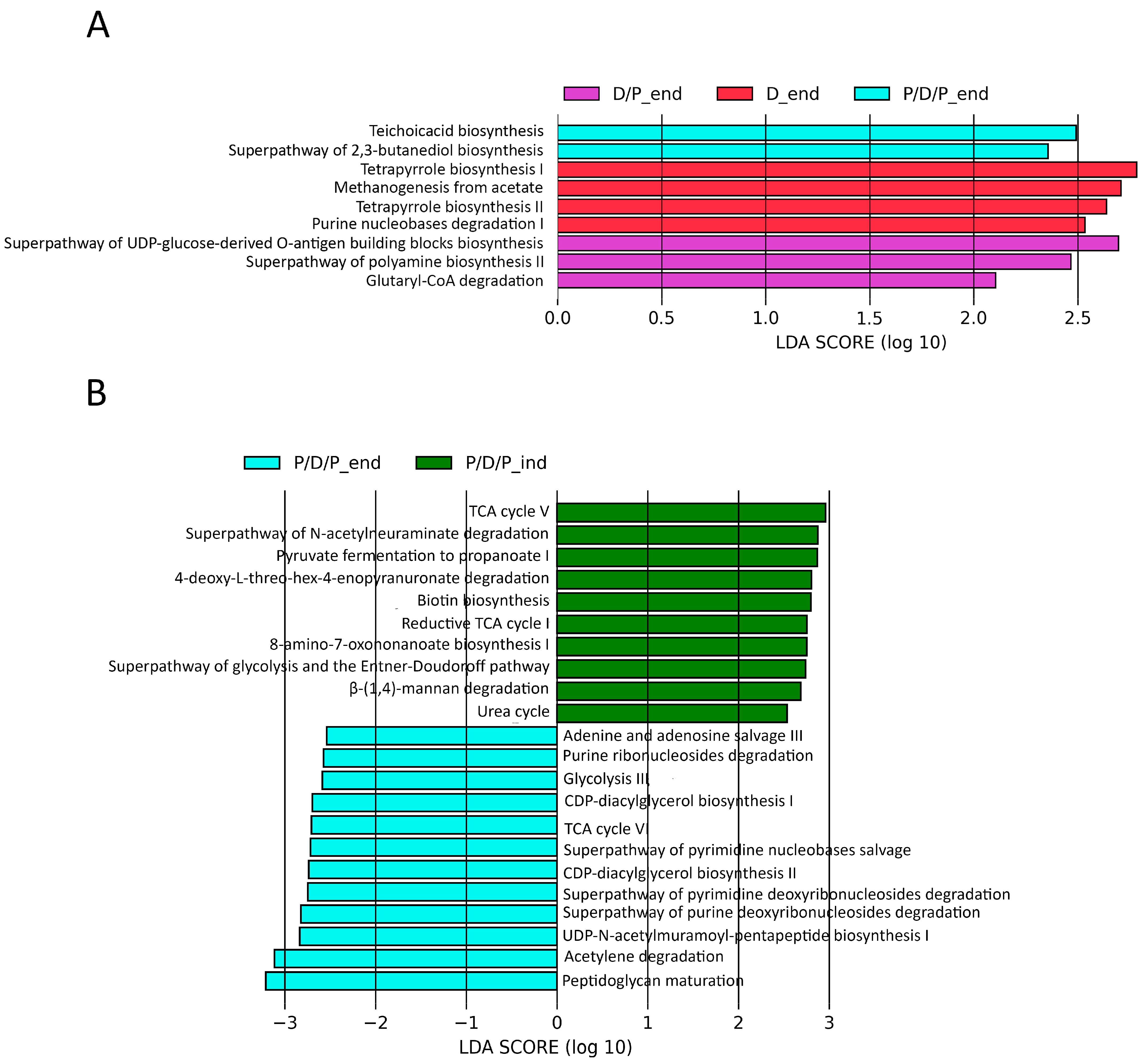 Ijms 25 07697 g010 Ijms 25 07697 g010