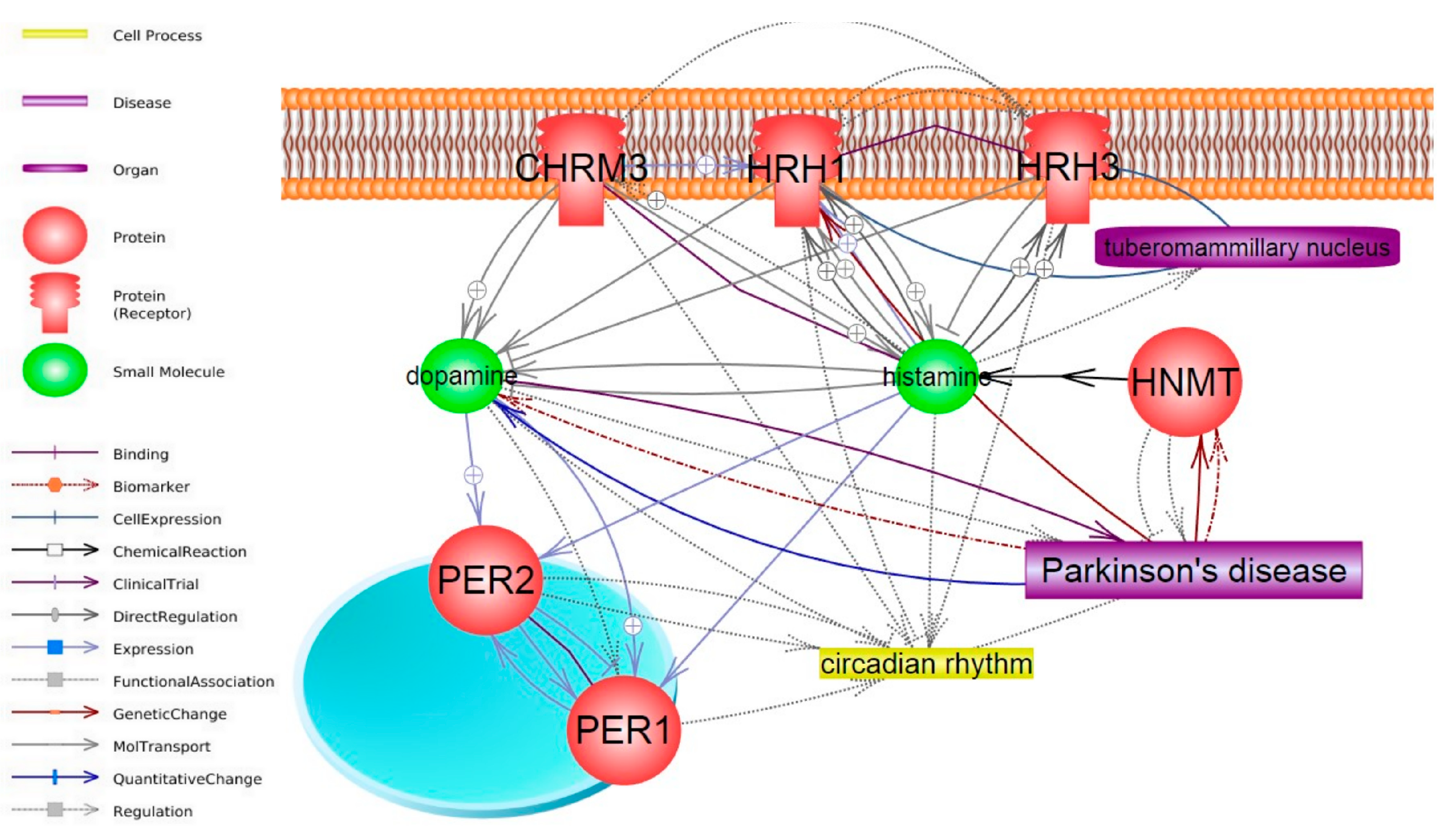 Ijms 25 07721 g003 Ijms 25 07721 g003