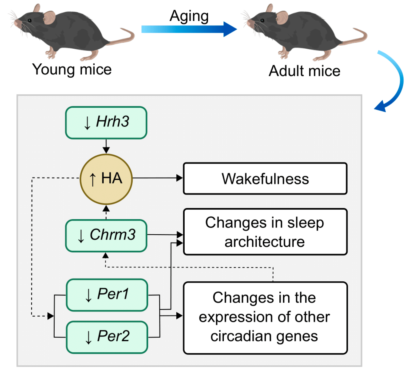 Ijms 25 07721 g004 Ijms 25 07721 g004