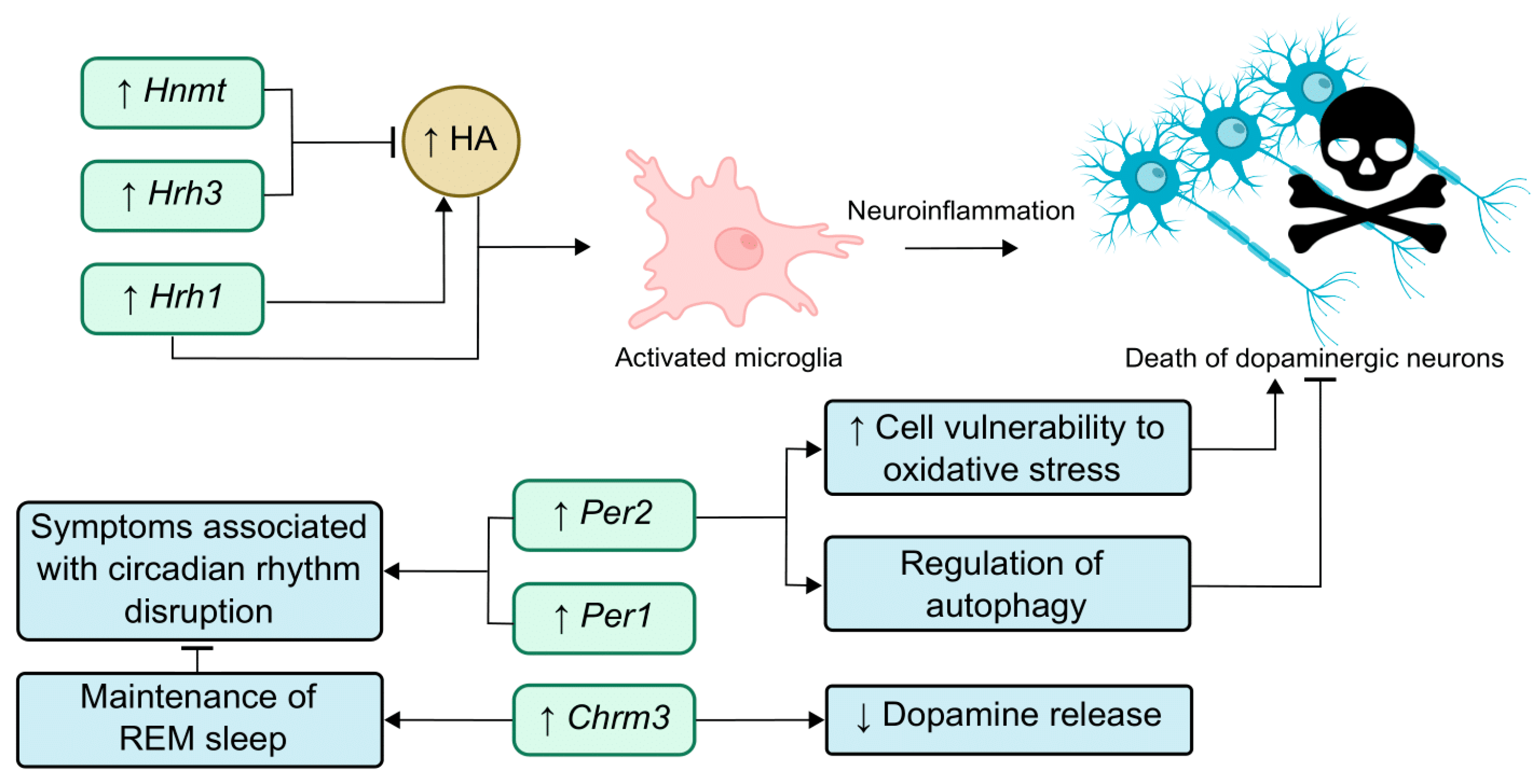 Ijms 25 07721 g005 Ijms 25 07721 g005