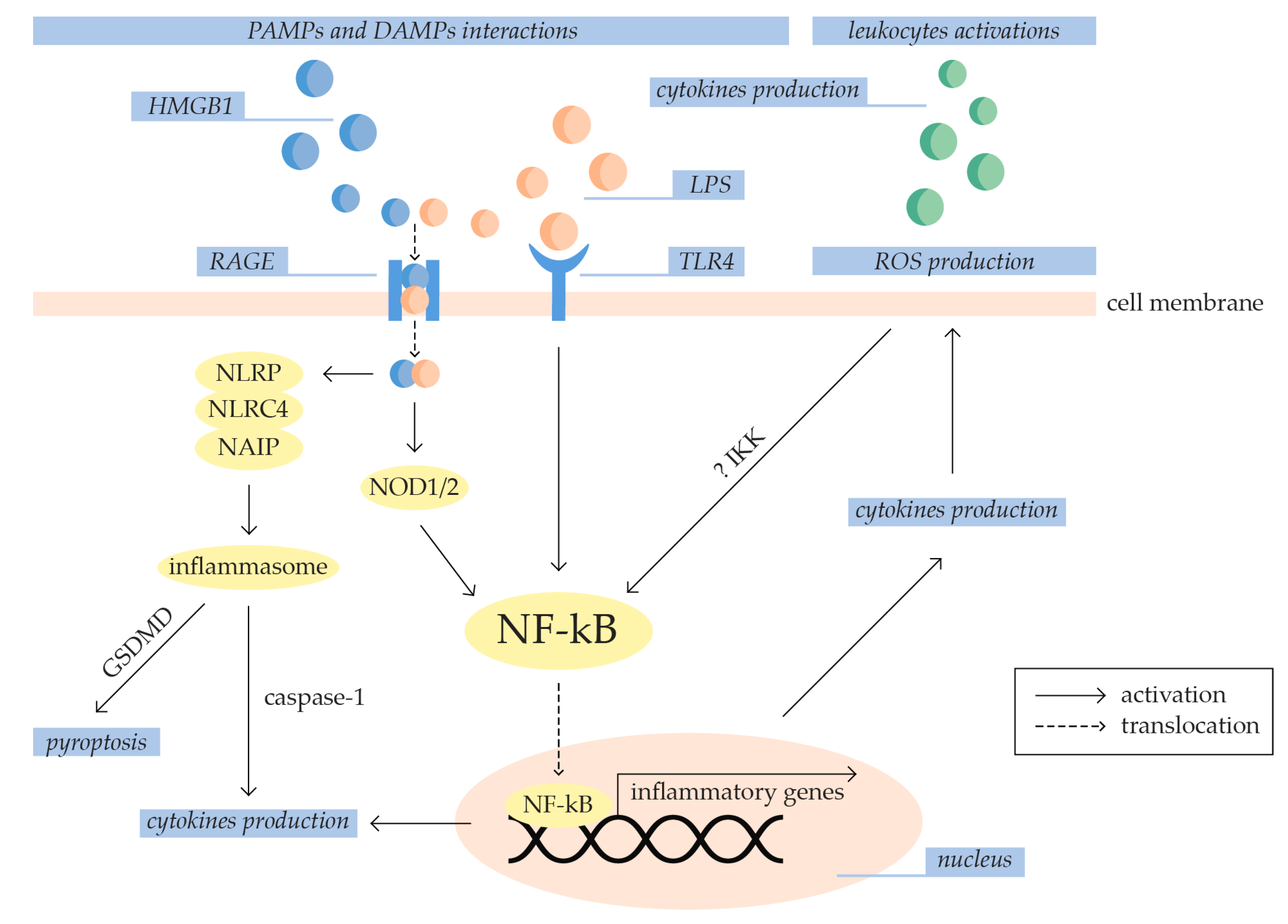 Ijms 25 07770 g002 Ijms 25 07770 g002