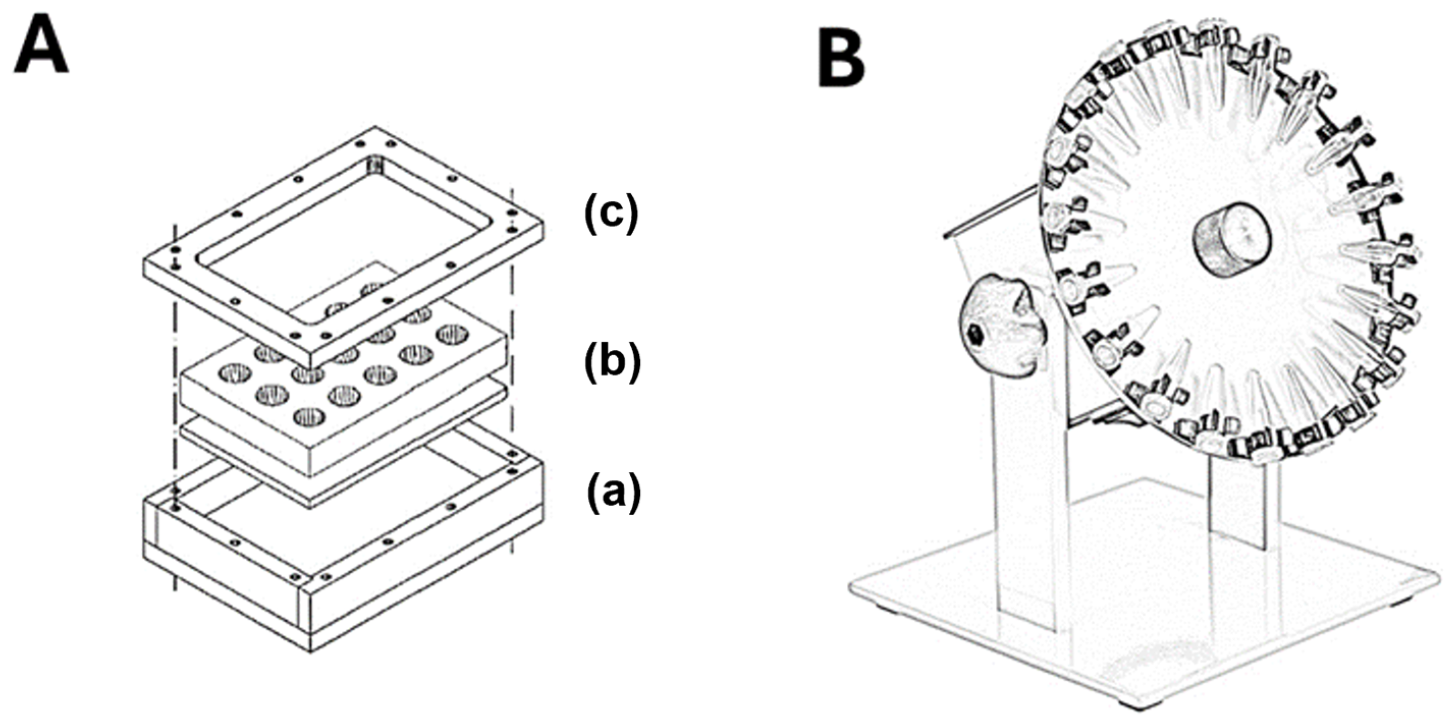 Ijms 25 07844 g002 Ijms 25 07844 g002