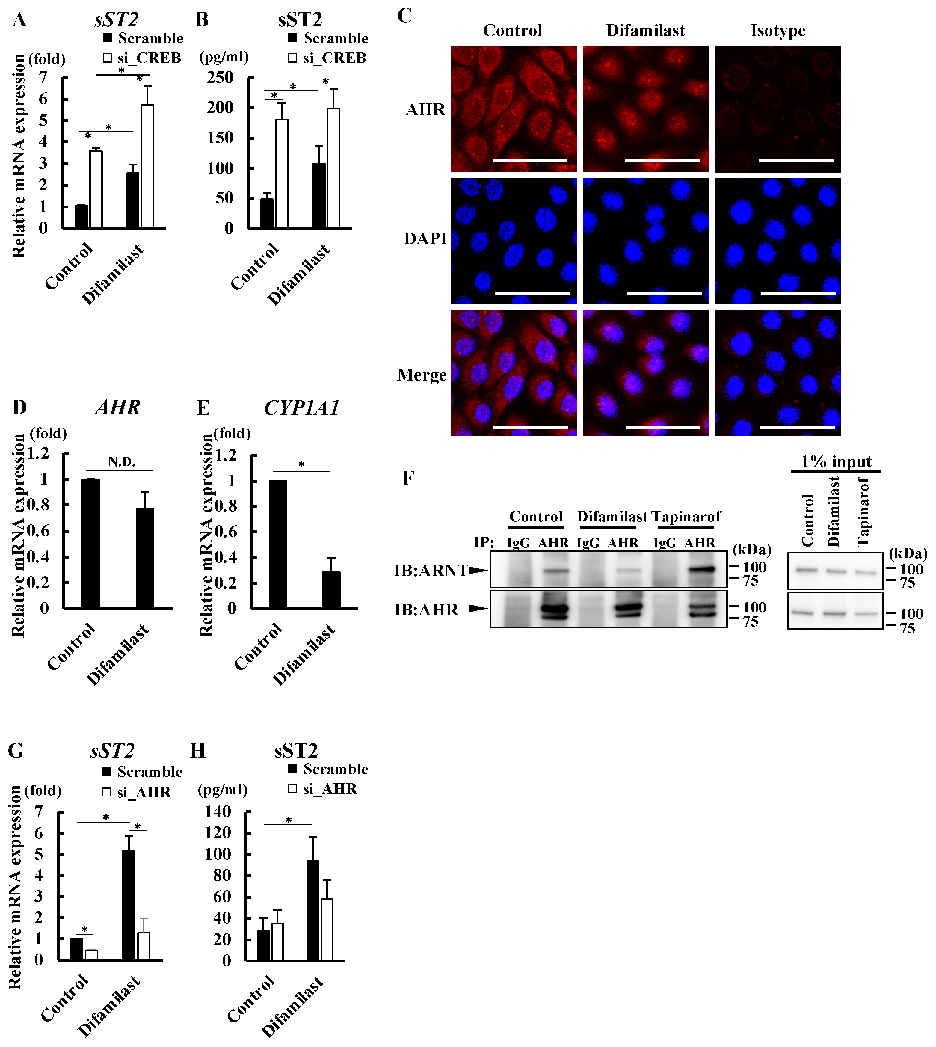 Ijms 25 07910 g003 Ijms 25 07910 g003
