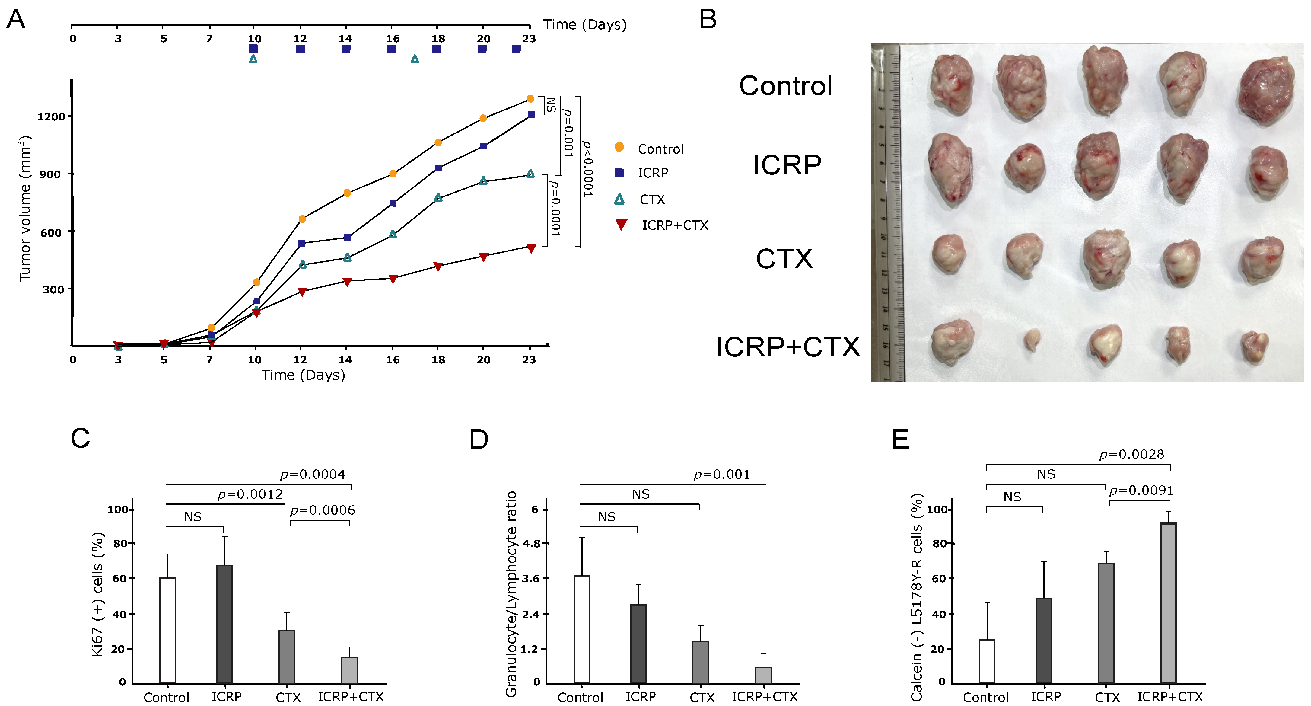 Ijms 25 07938 g006 Ijms 25 07938 g006