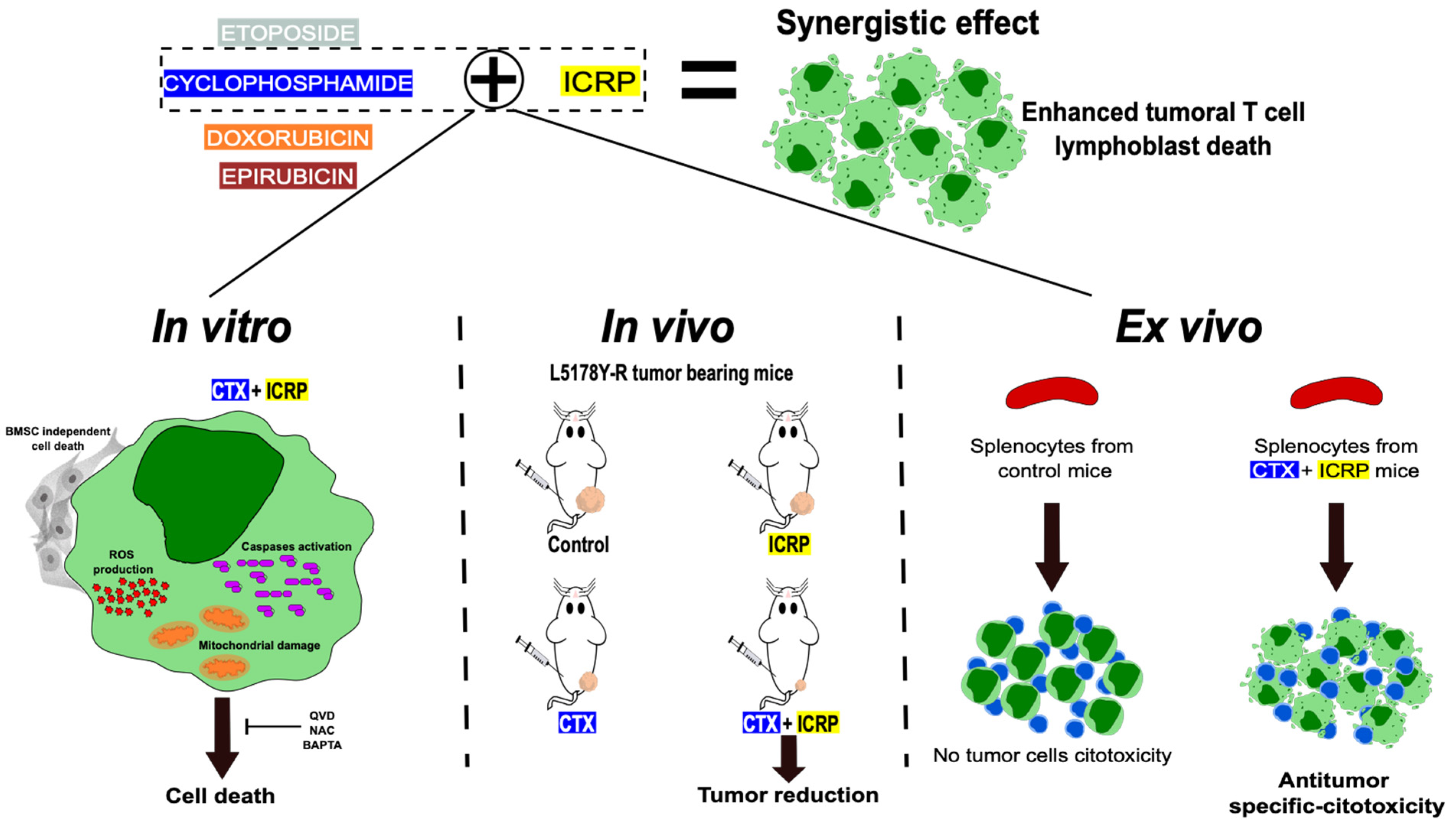 Ijms 25 07938 g007 Ijms 25 07938 g007