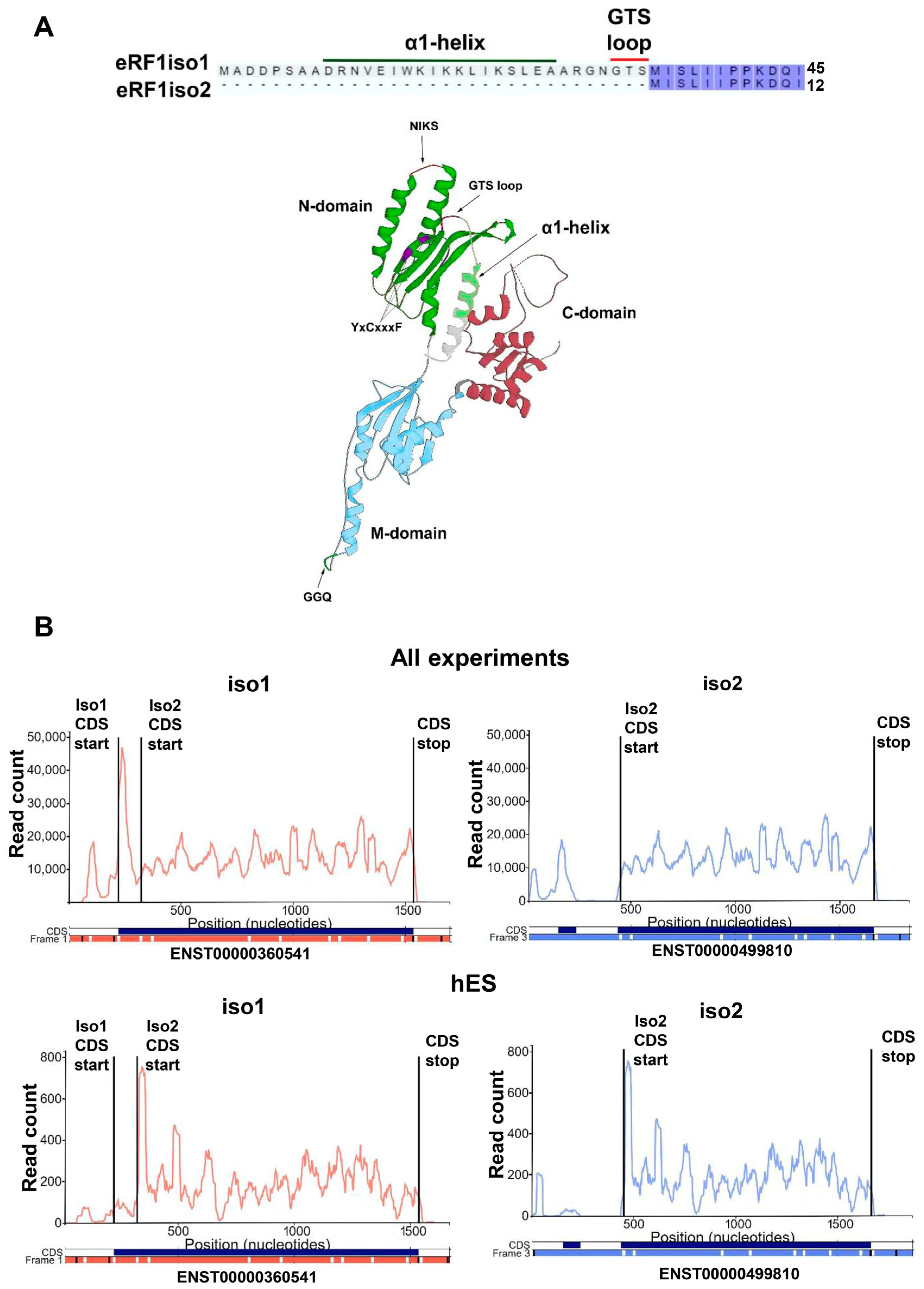 Ijms 25 07997 g001 Ijms 25 07997 g001