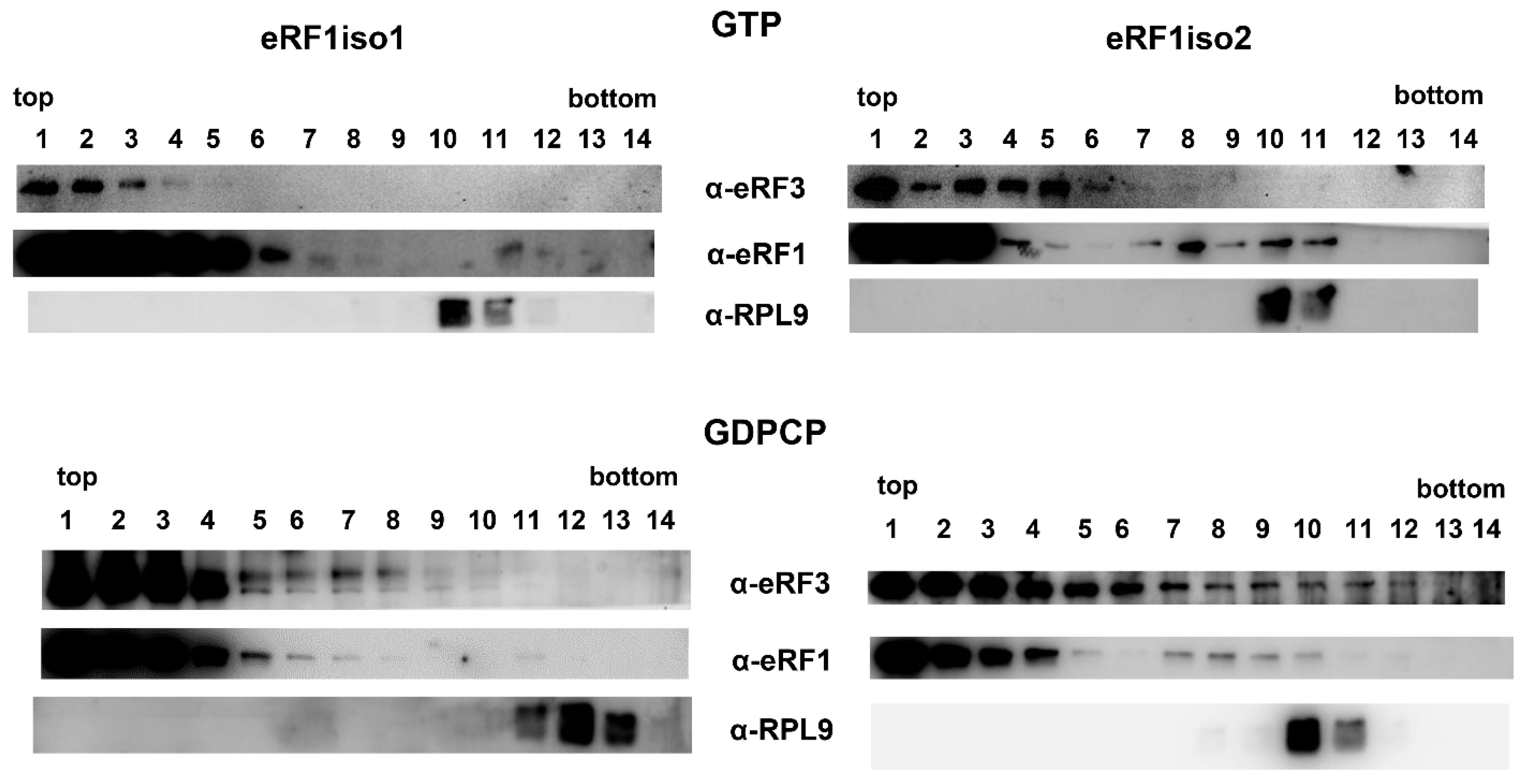 Ijms 25 07997 g004 Ijms 25 07997 g004