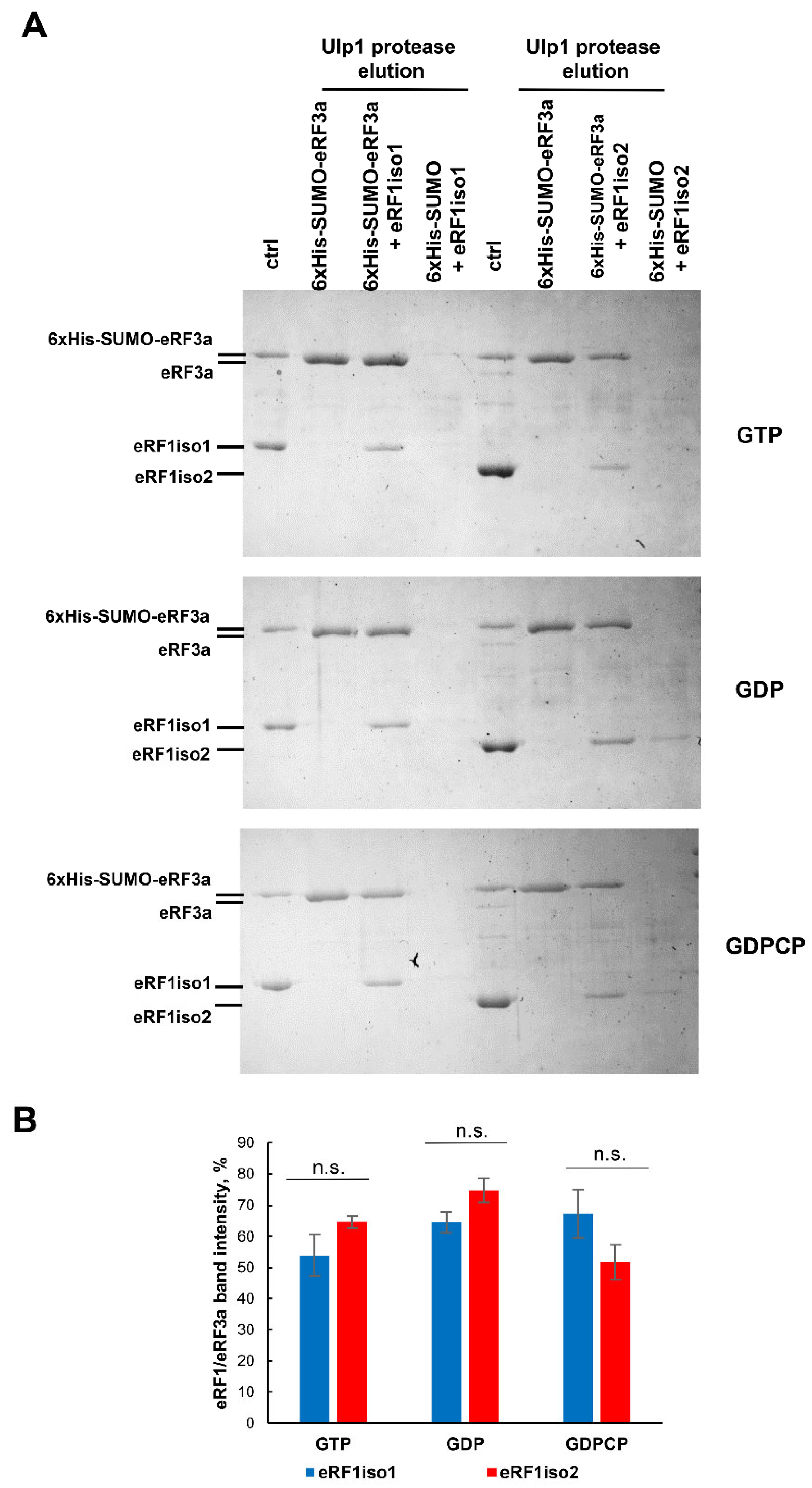 Ijms 25 07997 g006 Ijms 25 07997 g006