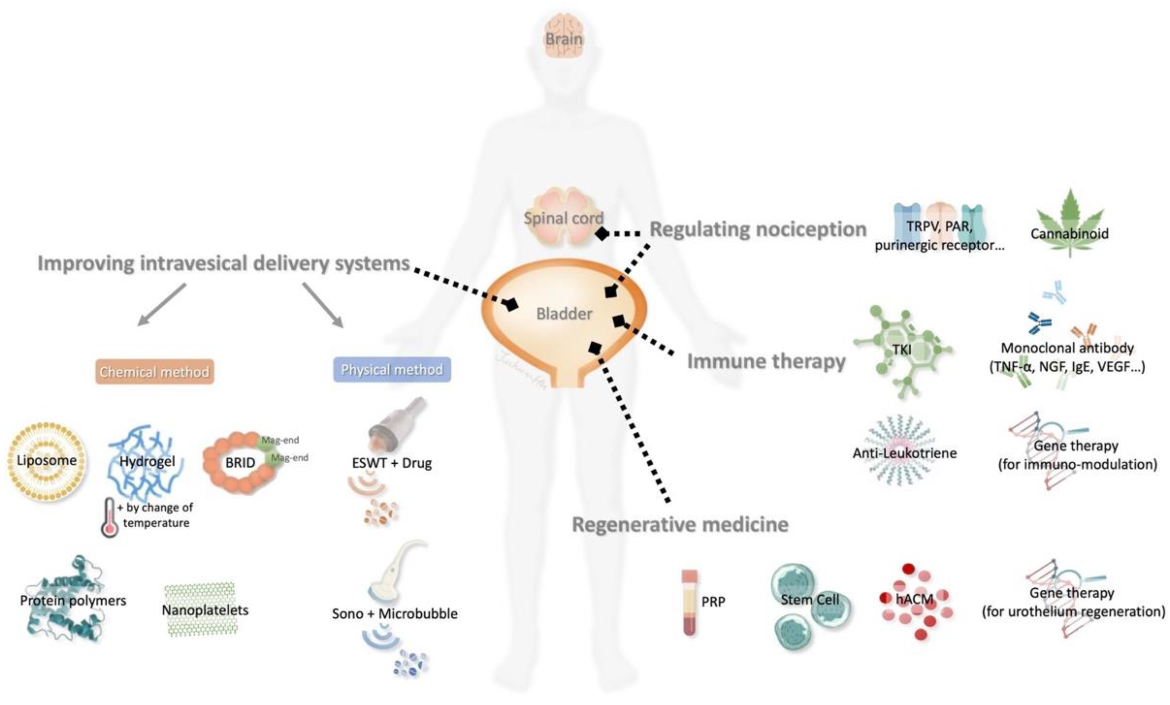Ijms 25 08015 g002 Ijms 25 08015 g002