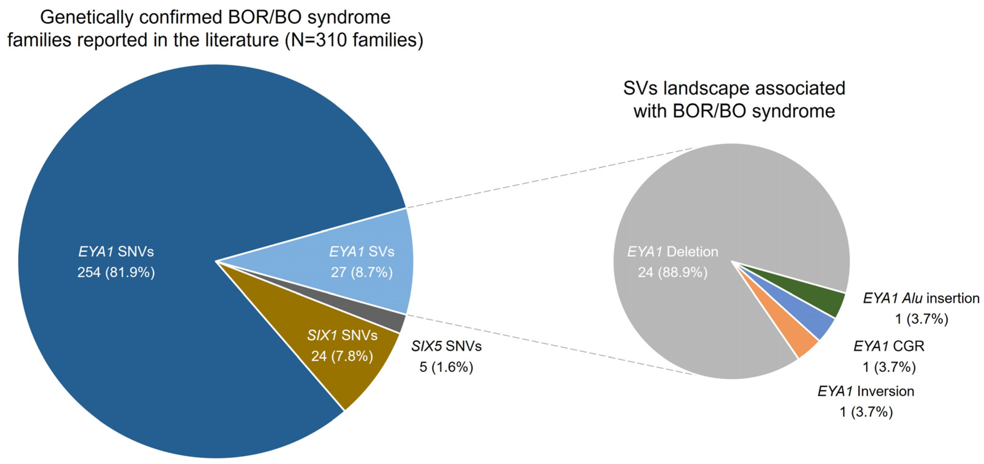 Ijms 25 08149 g002 Ijms 25 08149 g002