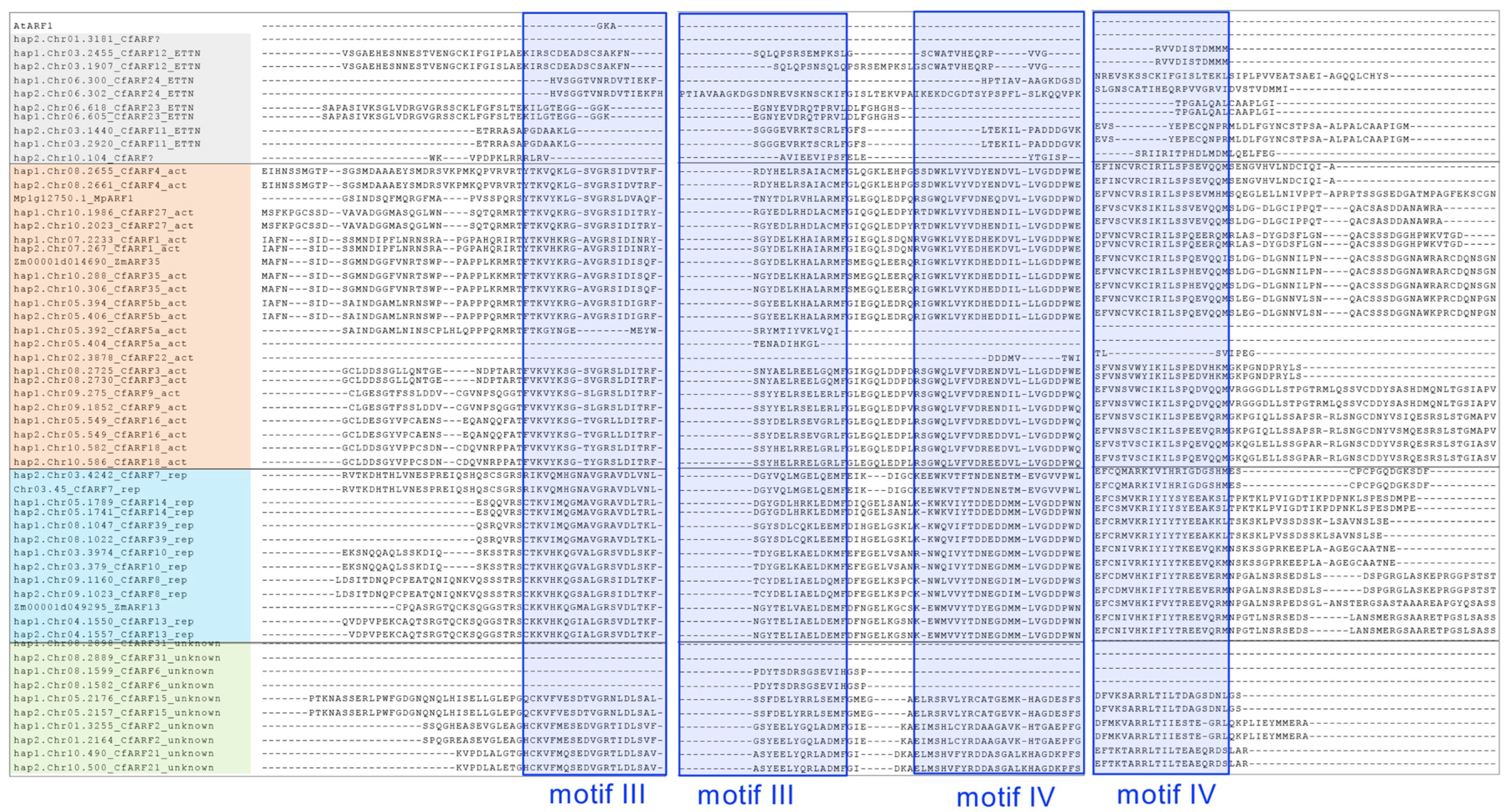 Ijms 25 08154 g003 Ijms 25 08154 g003