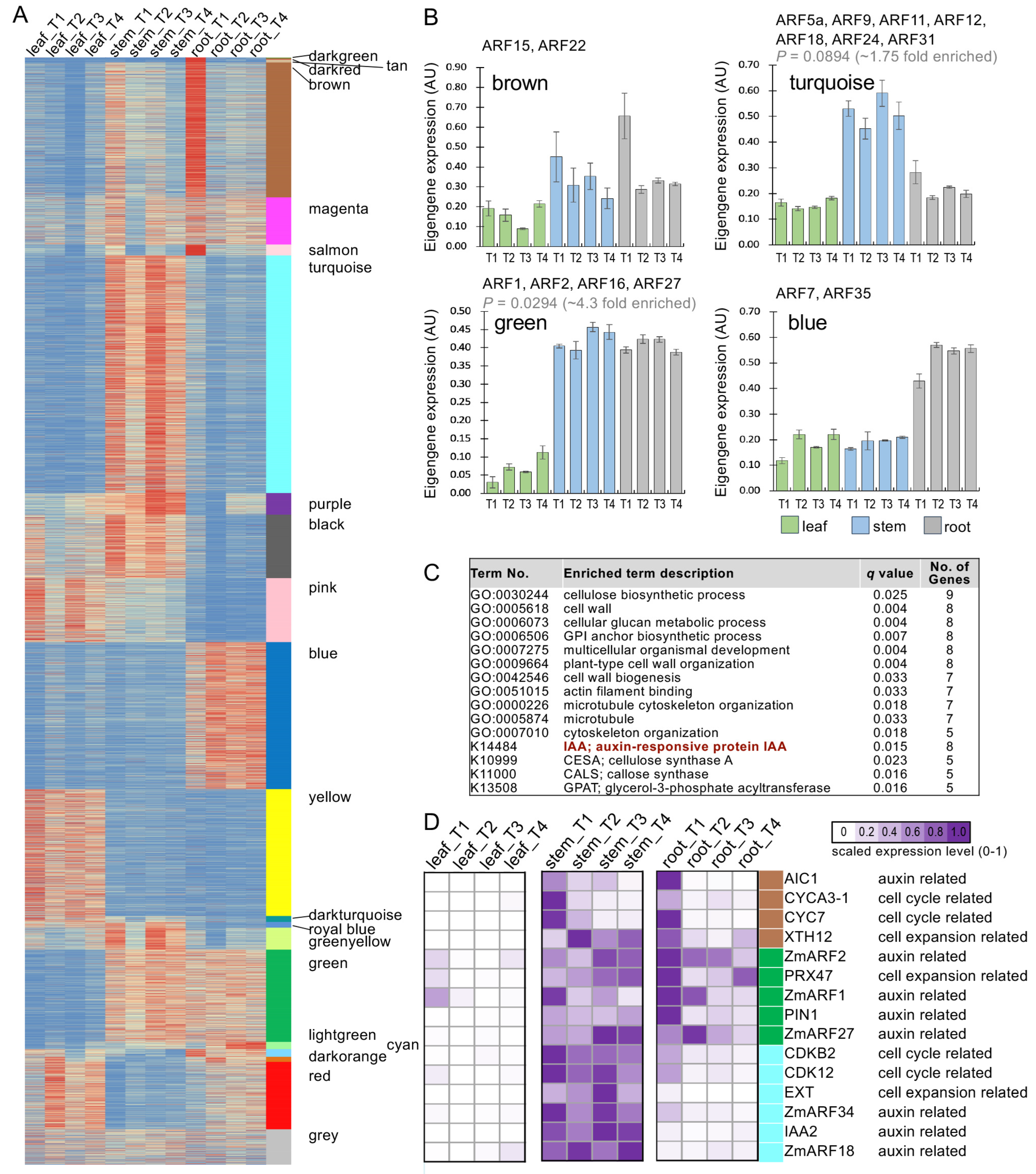 Ijms 25 08154 g006 Ijms 25 08154 g006