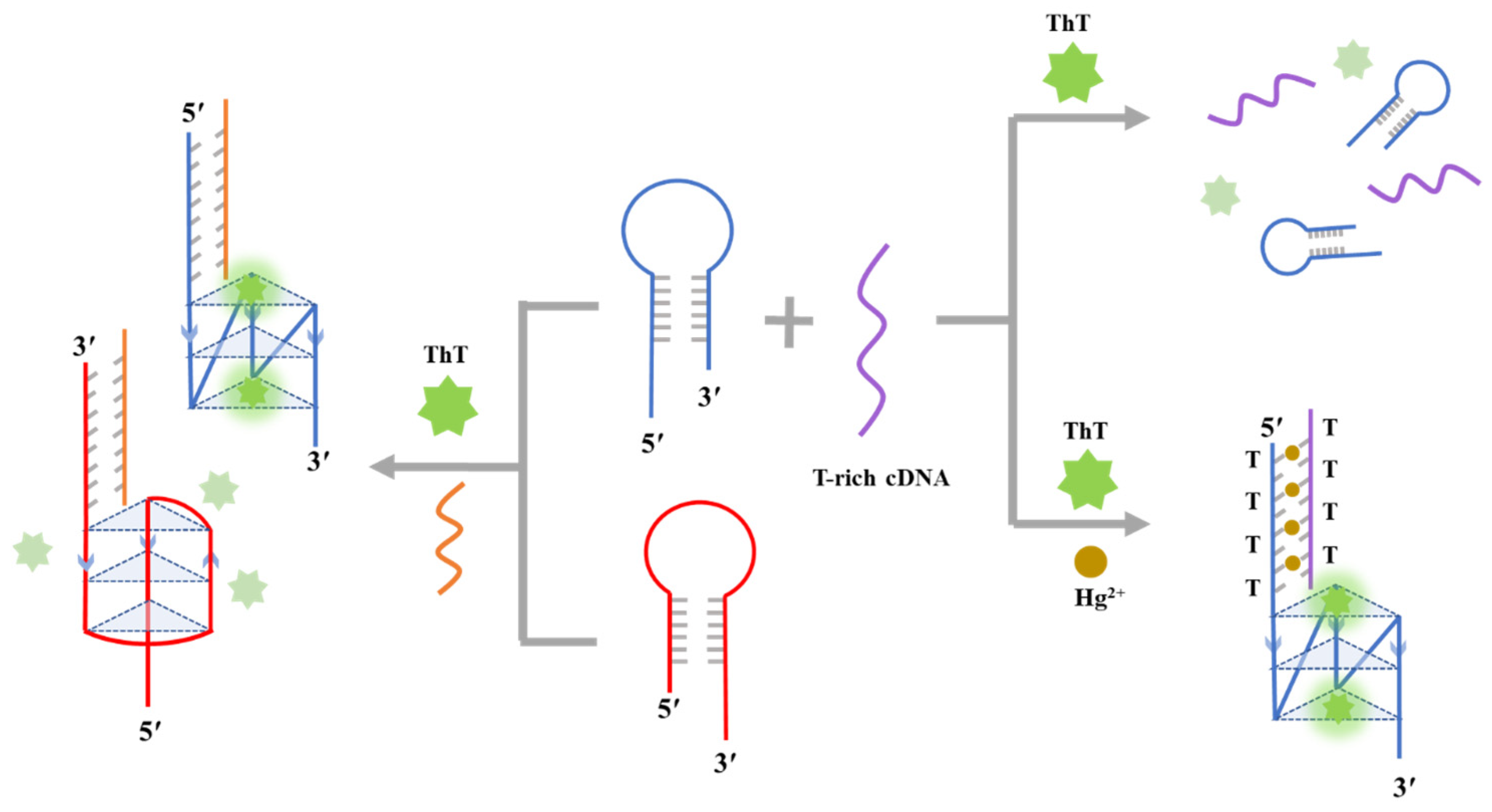 Ijms 25 08159 sch001