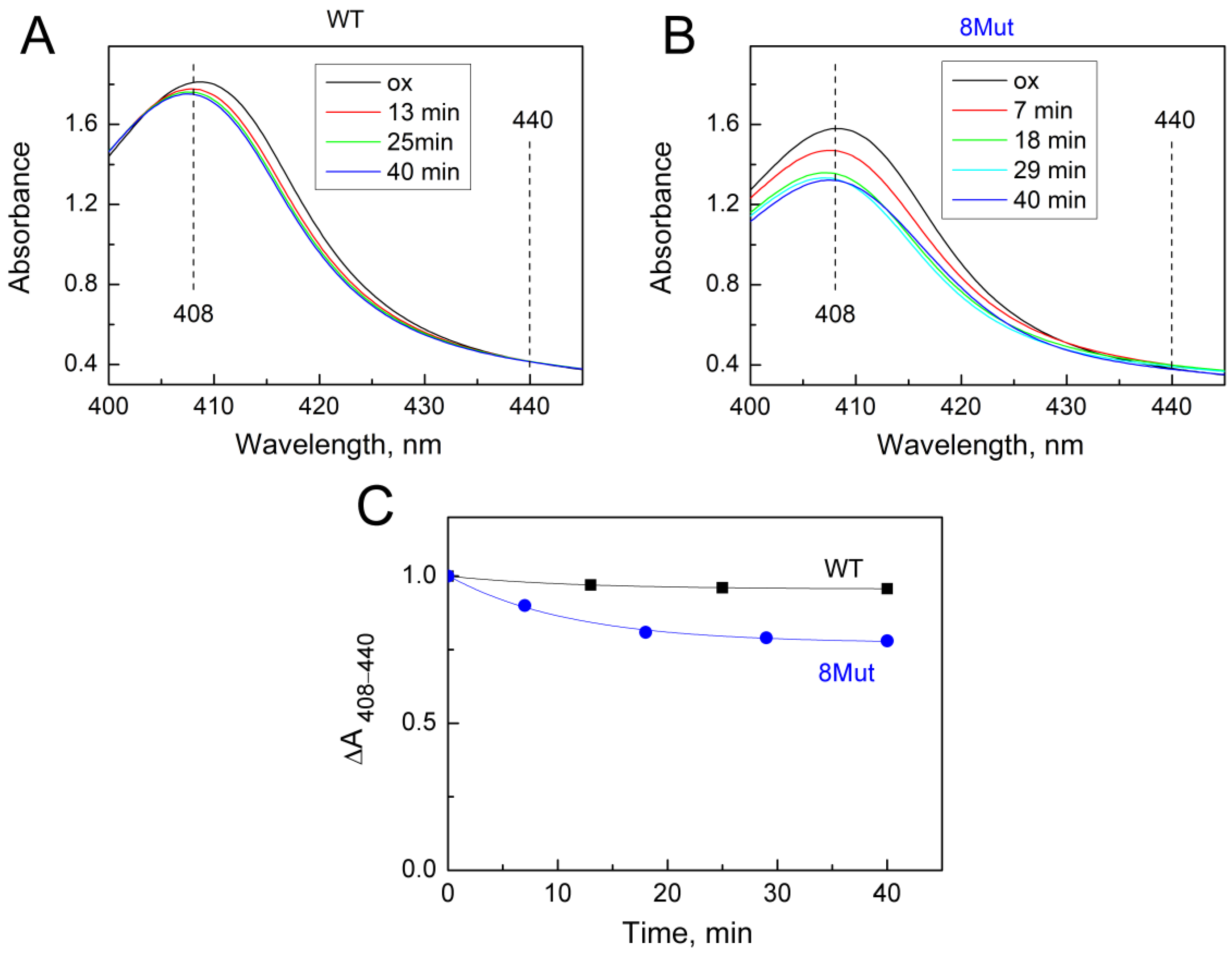 Ijms 25 08237 g005 Ijms 25 08237 g005