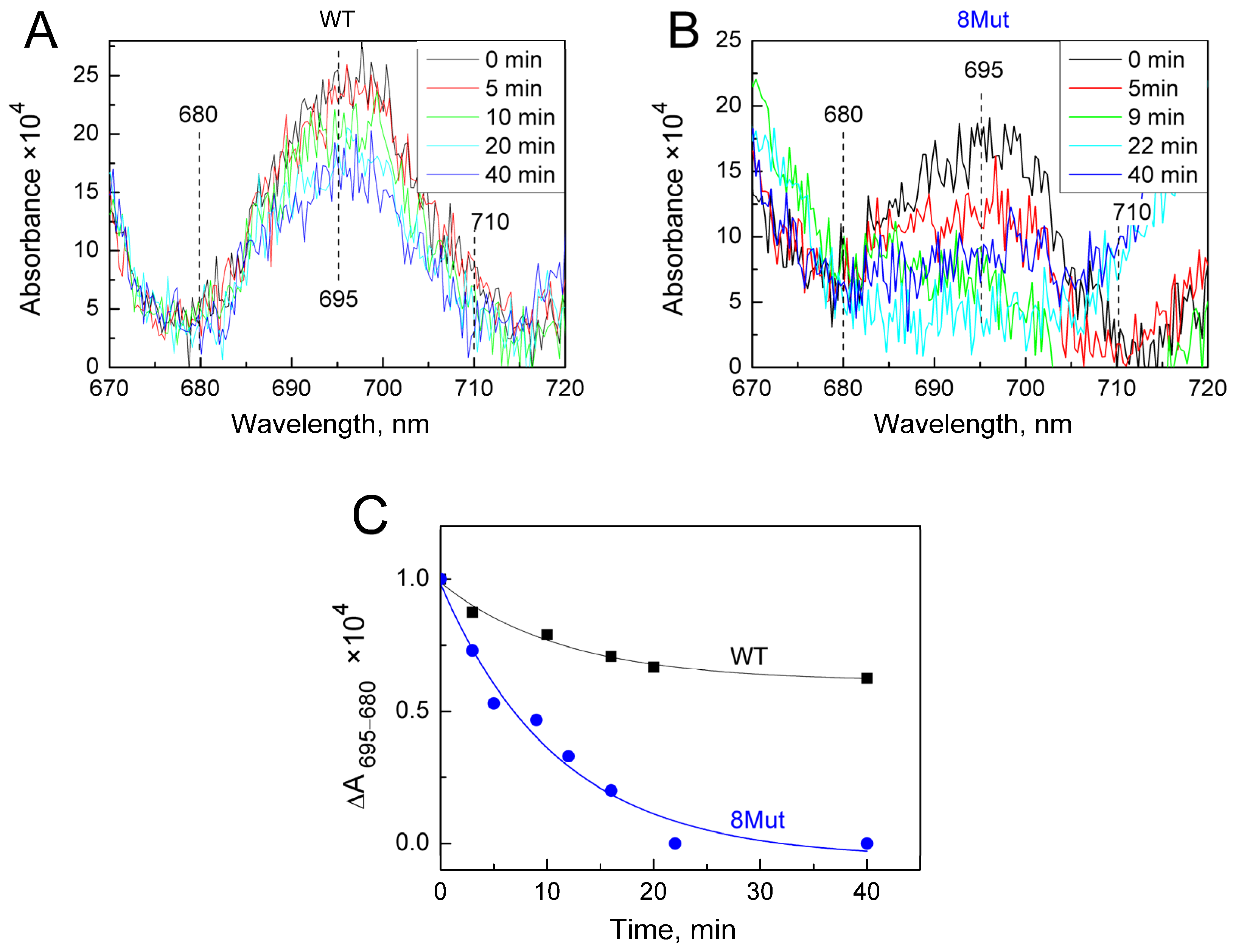 Ijms 25 08237 g006 Ijms 25 08237 g006
