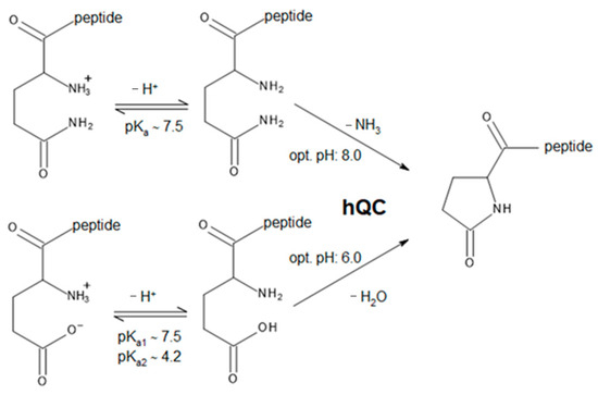 Ijms 25 08279 sch001